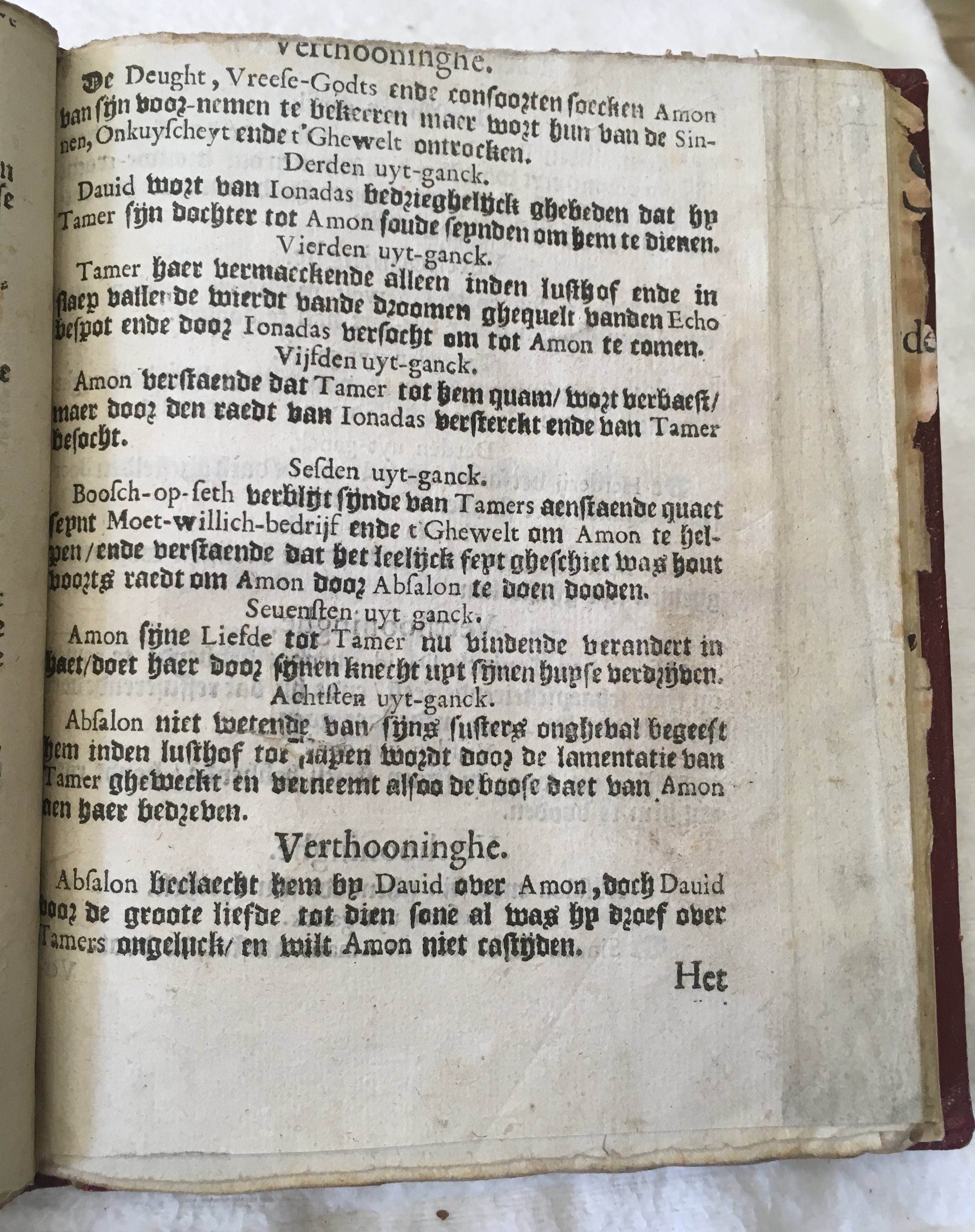 BerckmansAmon1642p05.jpg