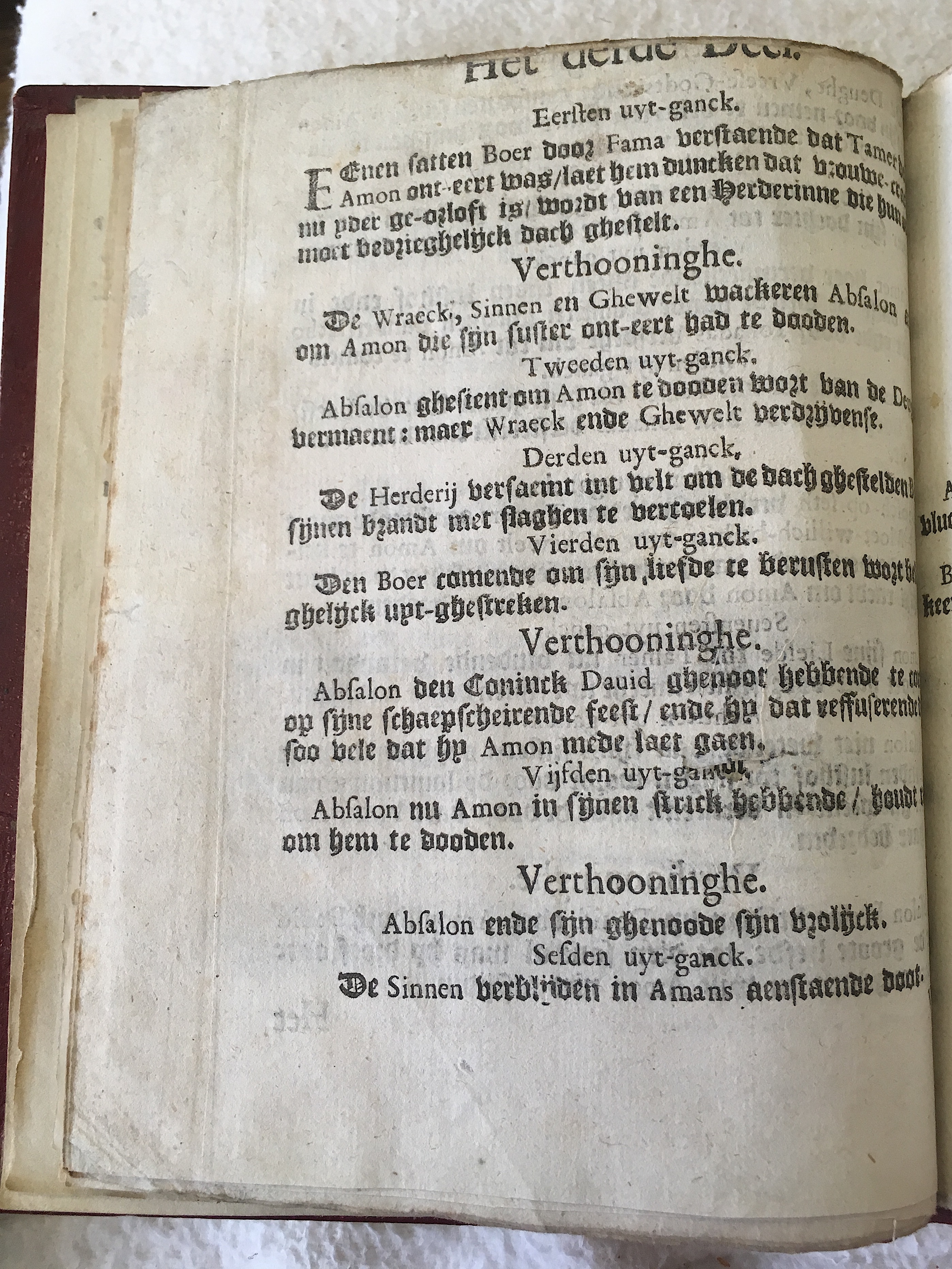 BerckmansAmon1642p06.jpg