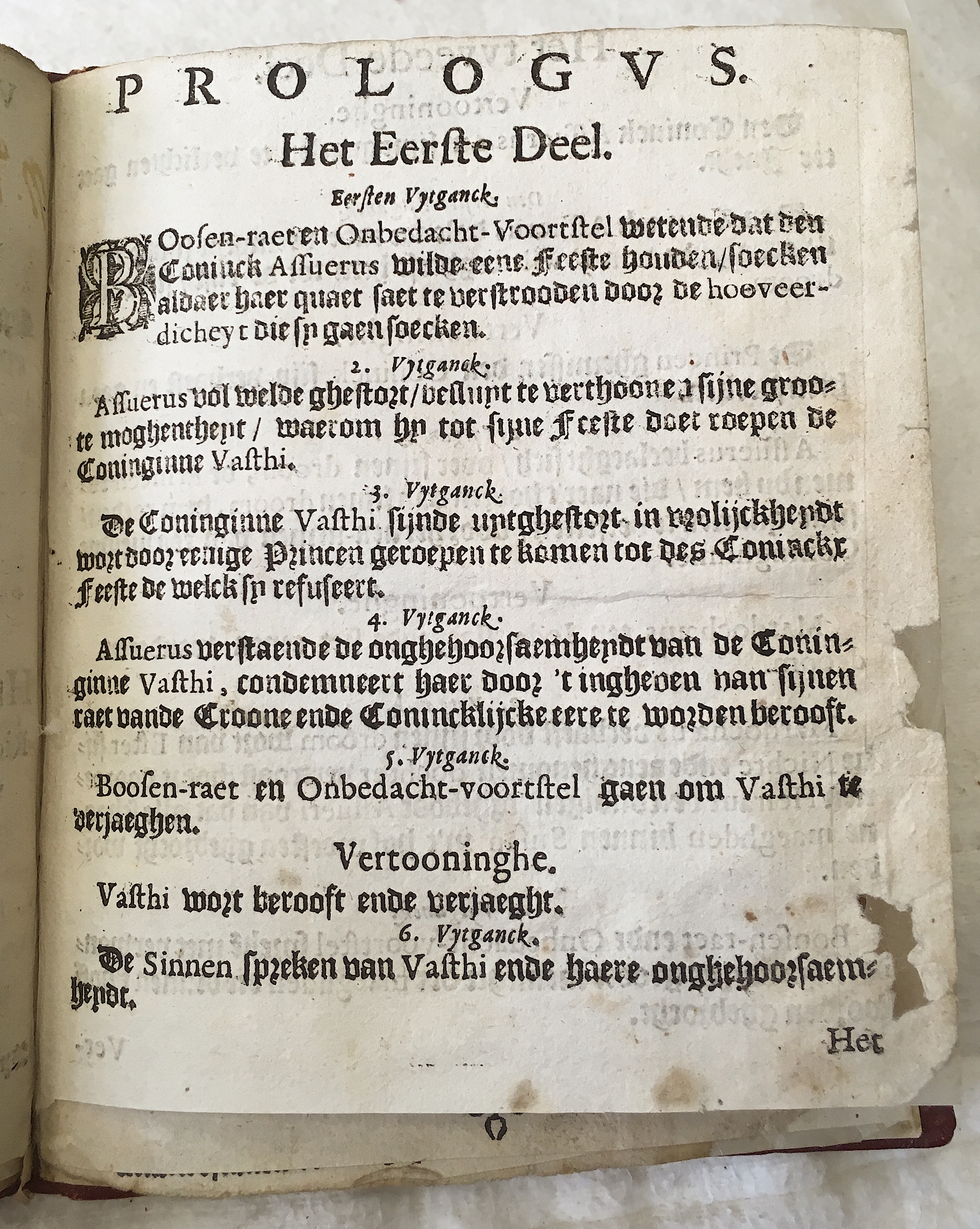 BerckmansEdissa1649p03.jpg