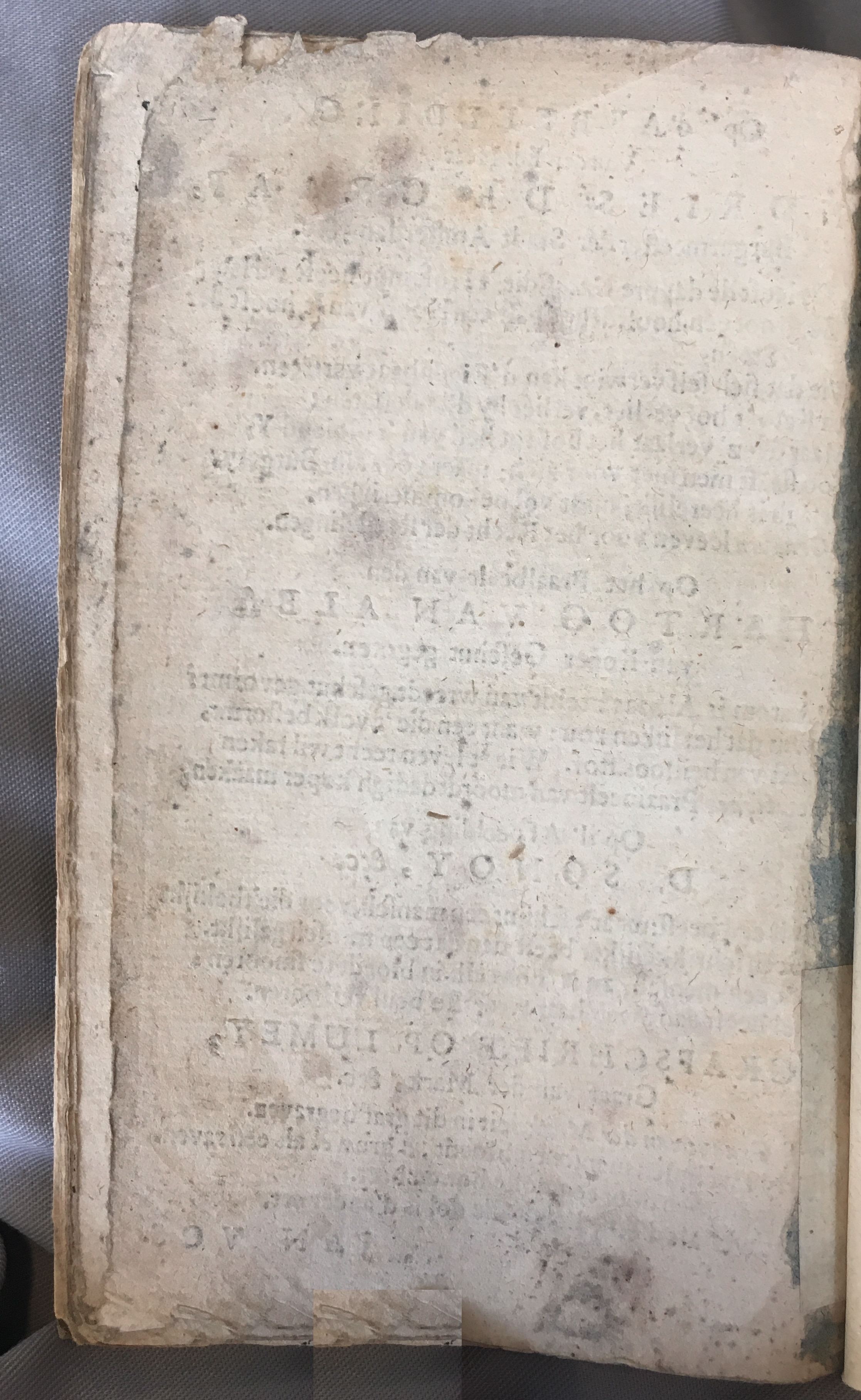 BontiusLeyden1682p64