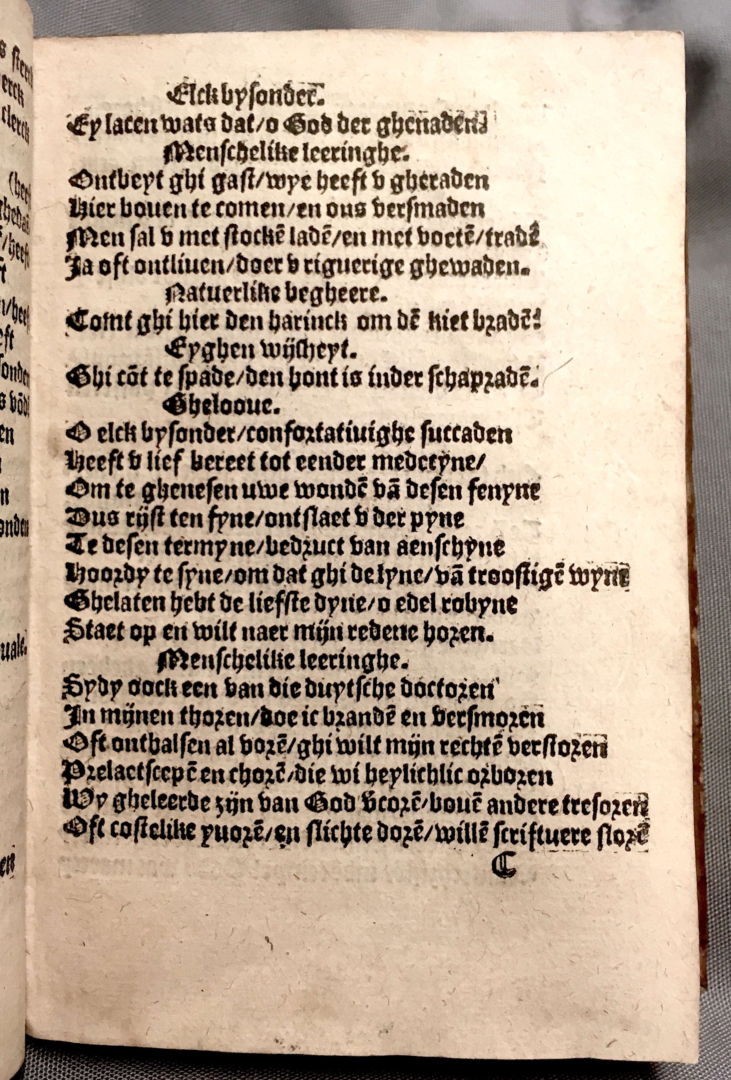 BoomSchriftueren1560ca33.jpg