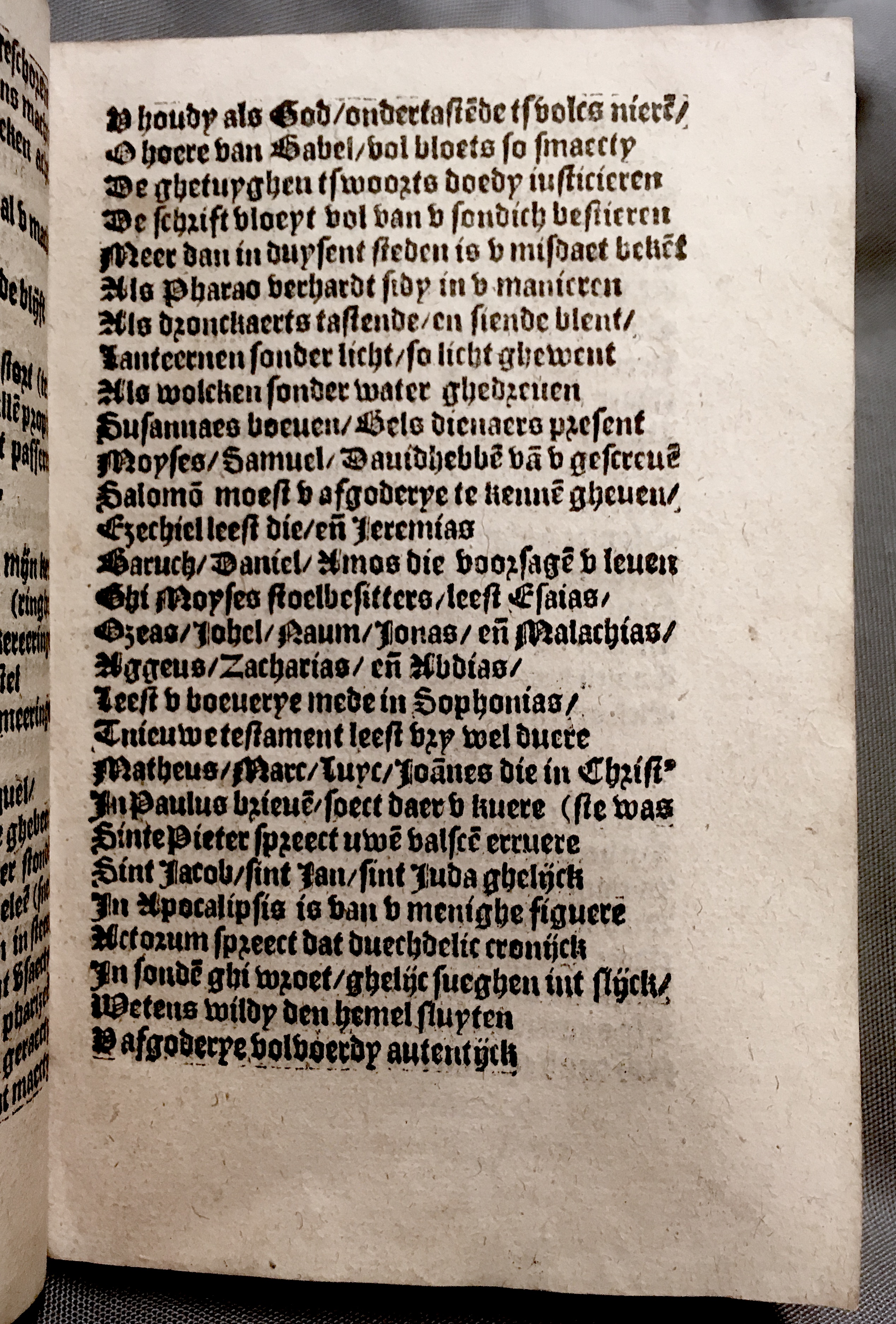 BoomSchriftueren1560ca35.jpg