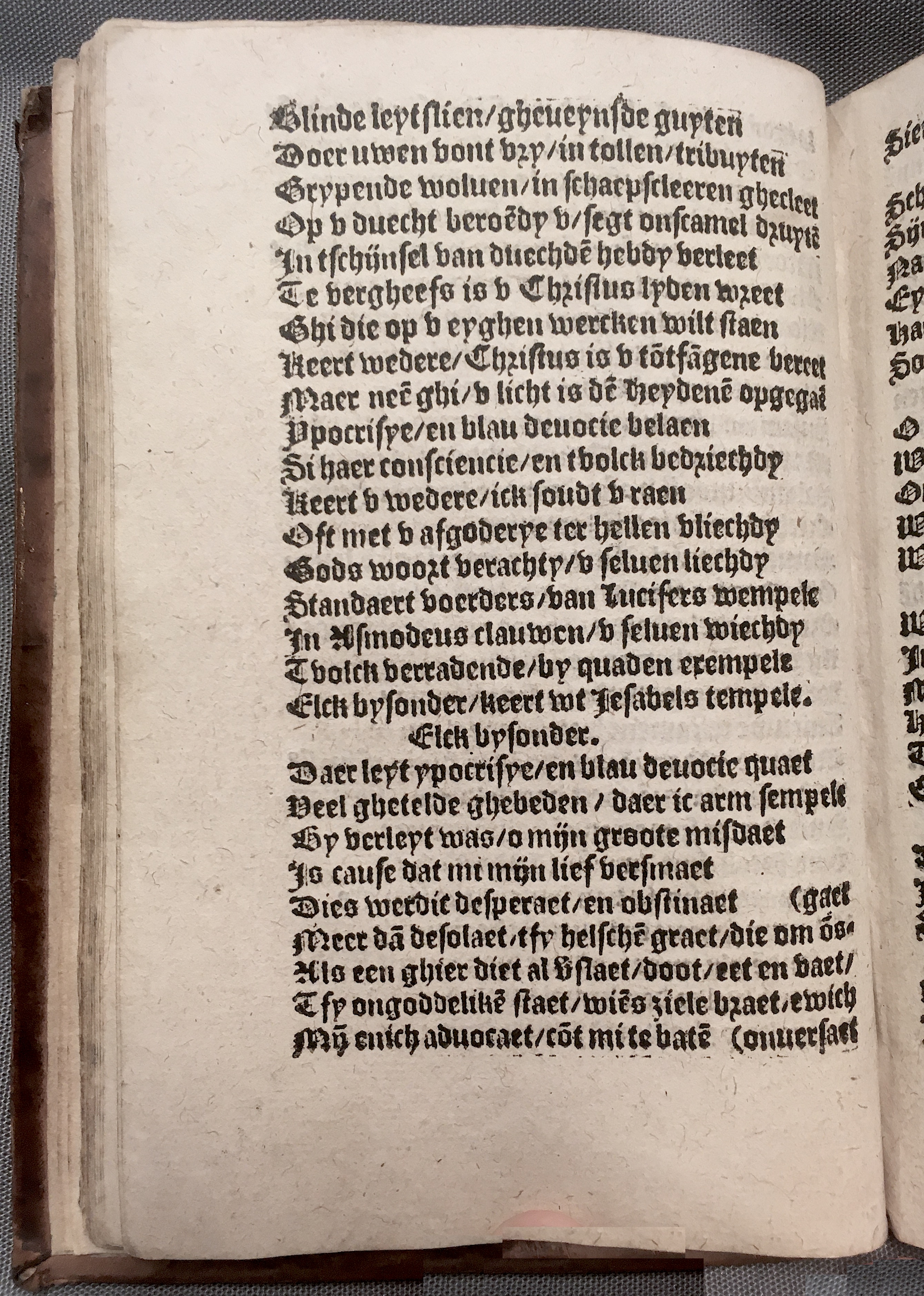 BoomSchriftueren1560ca36