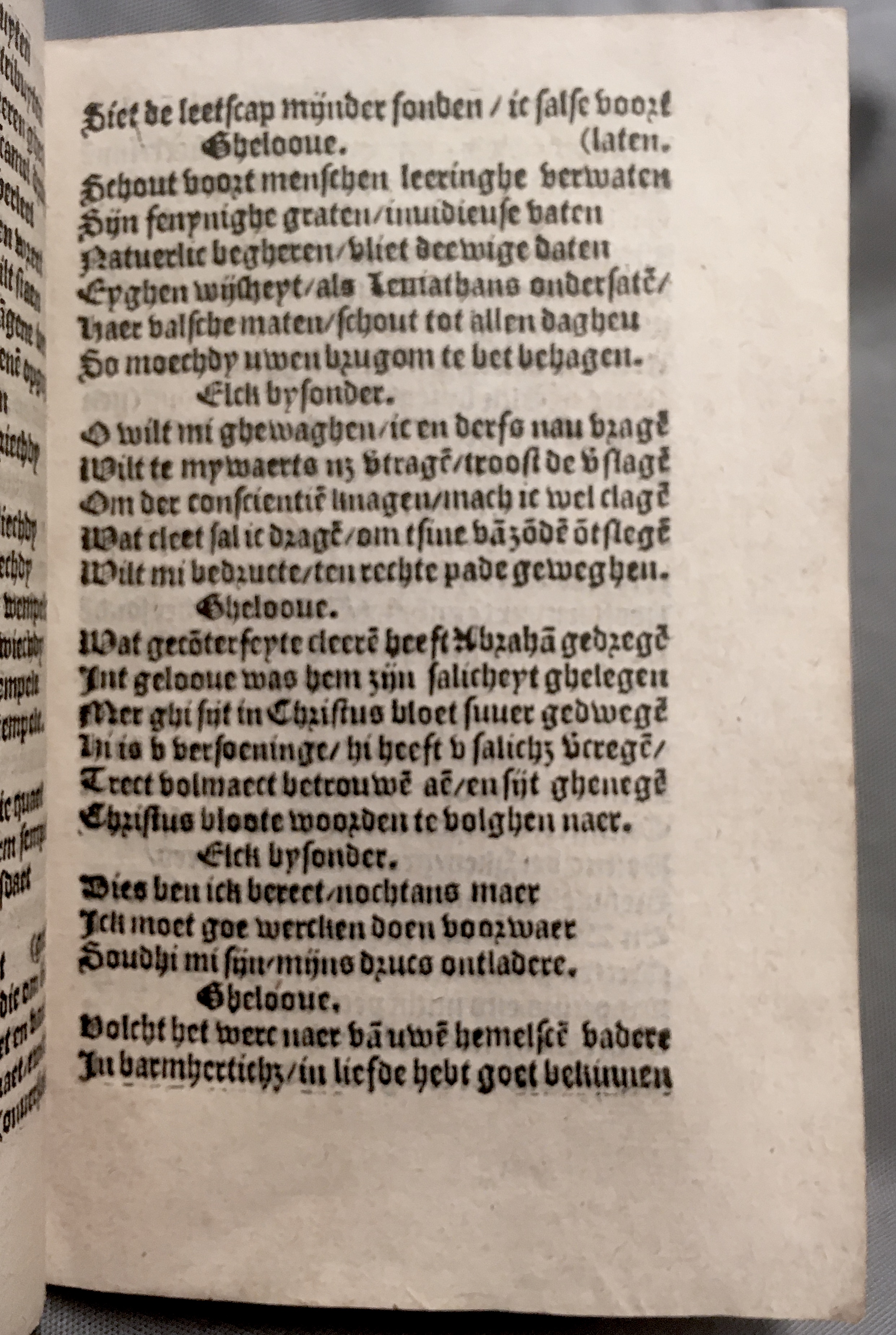 BoomSchriftueren1560ca37