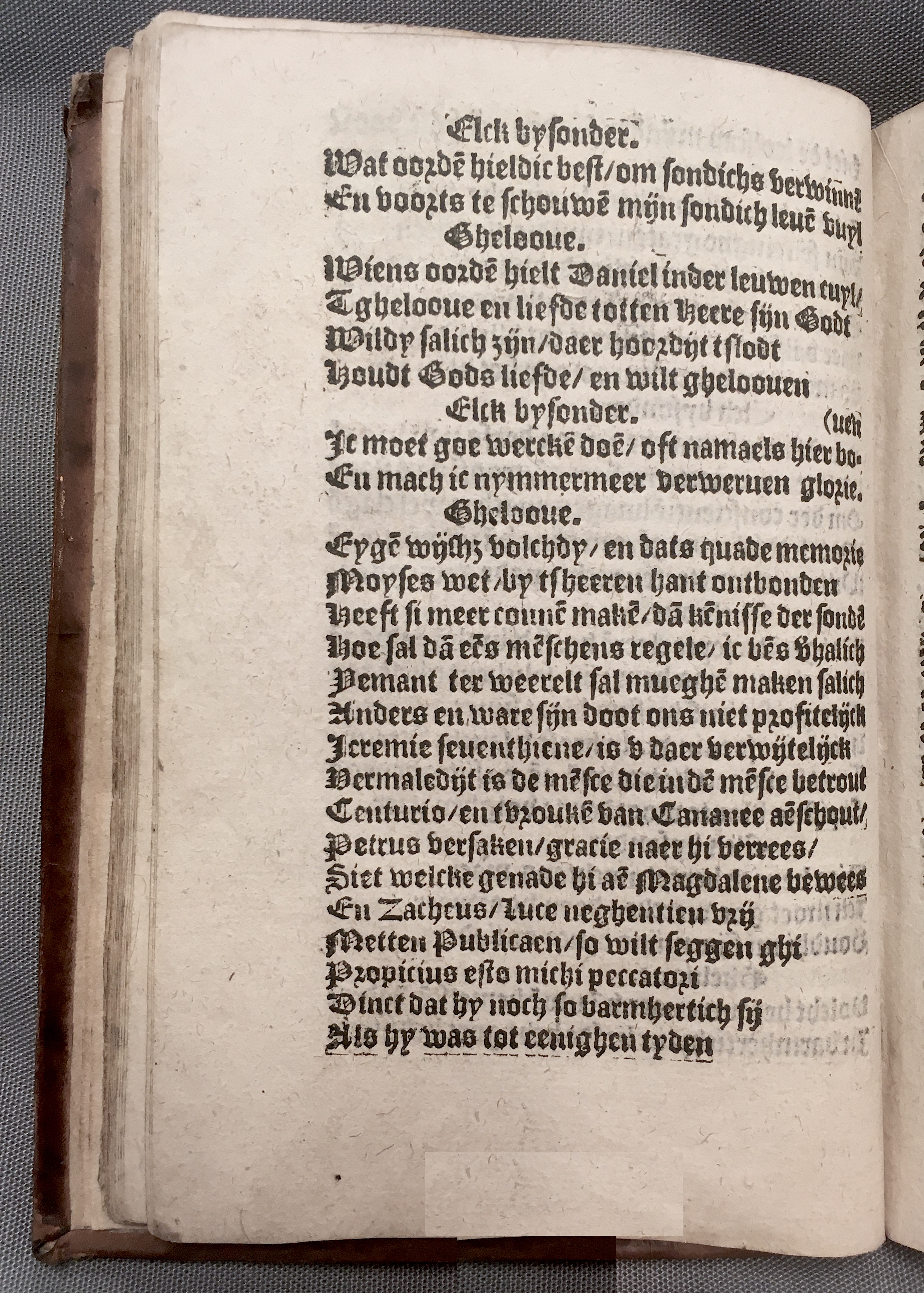 BoomSchriftueren1560ca38.jpg