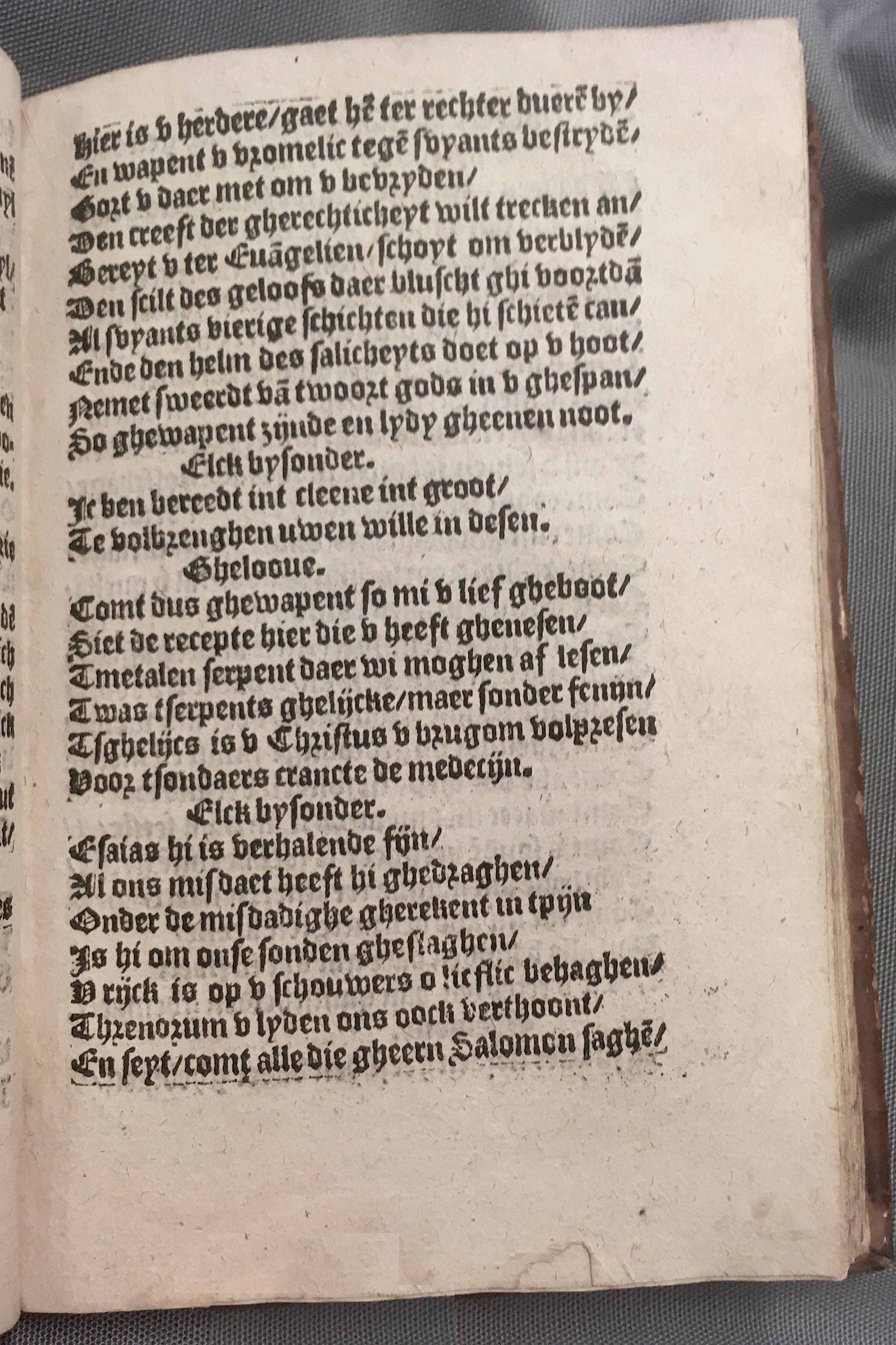 BoomSchriftueren1560ca39.jpg