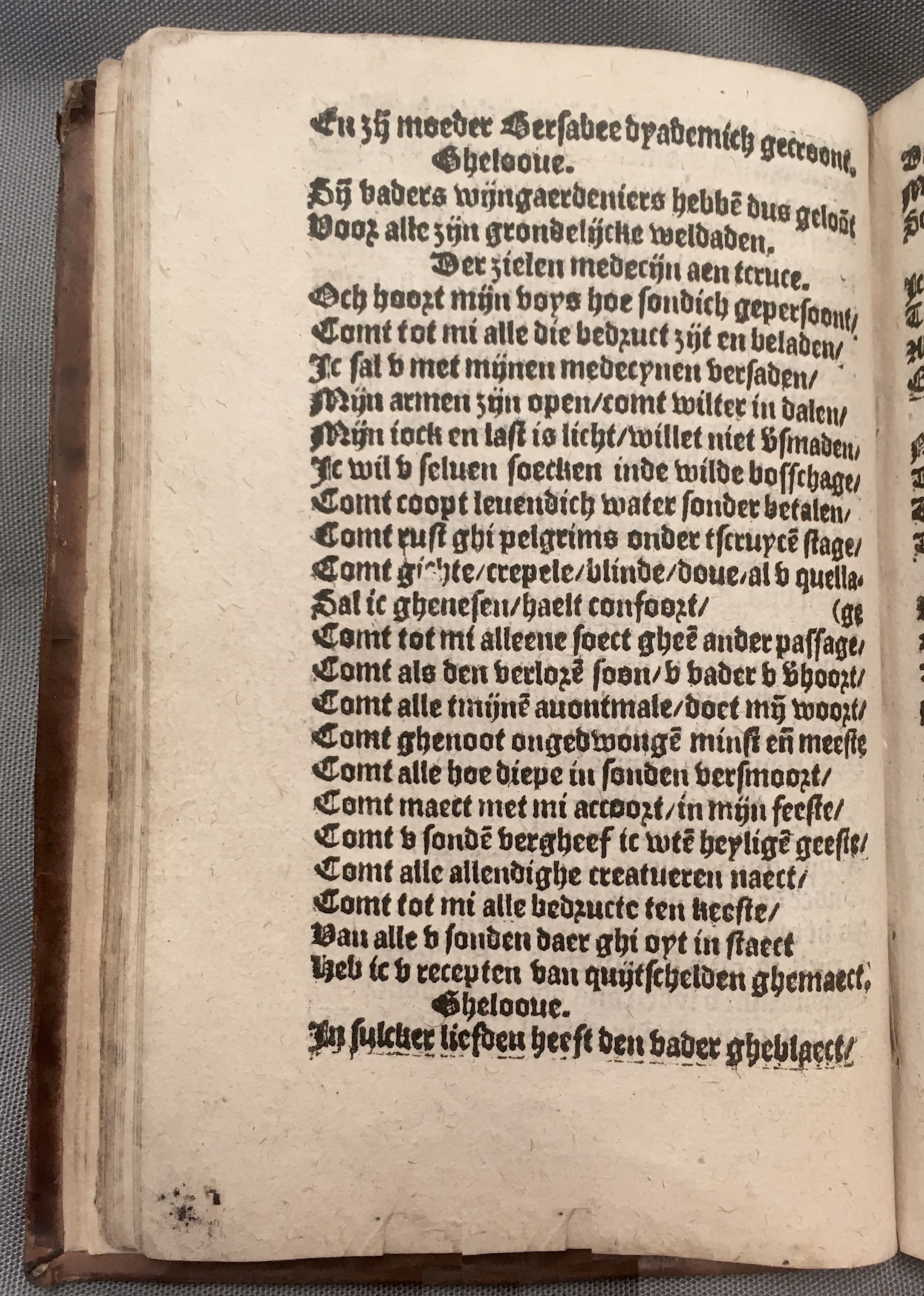 BoomSchriftueren1560ca40.jpg