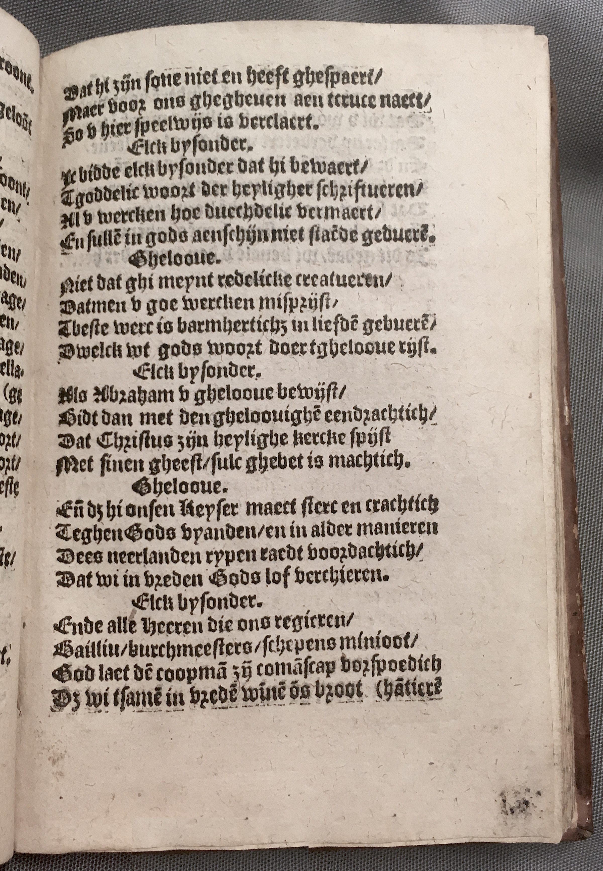 BoomSchriftueren1560ca41.jpg