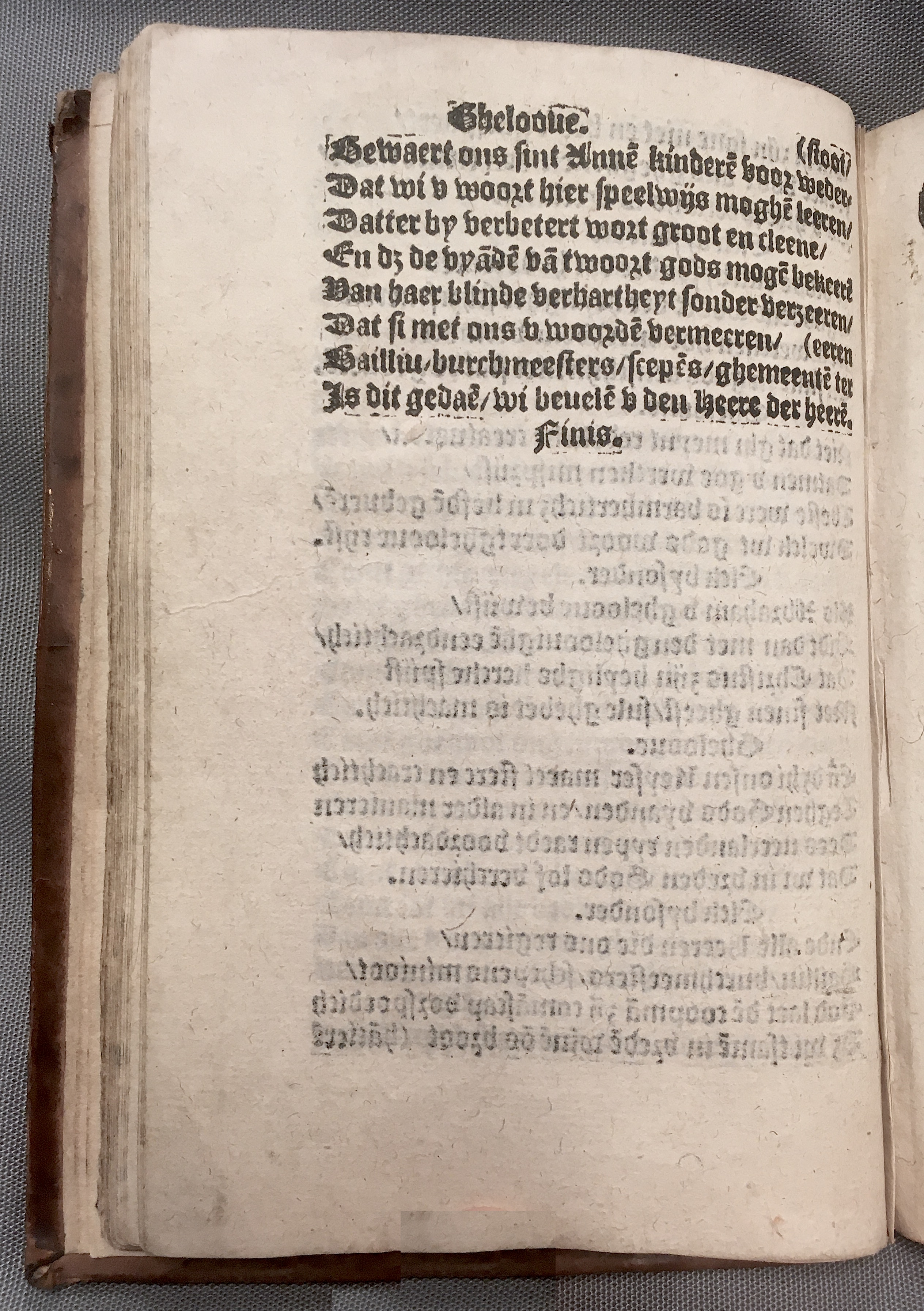 BoomSchriftueren1560ca42.jpg