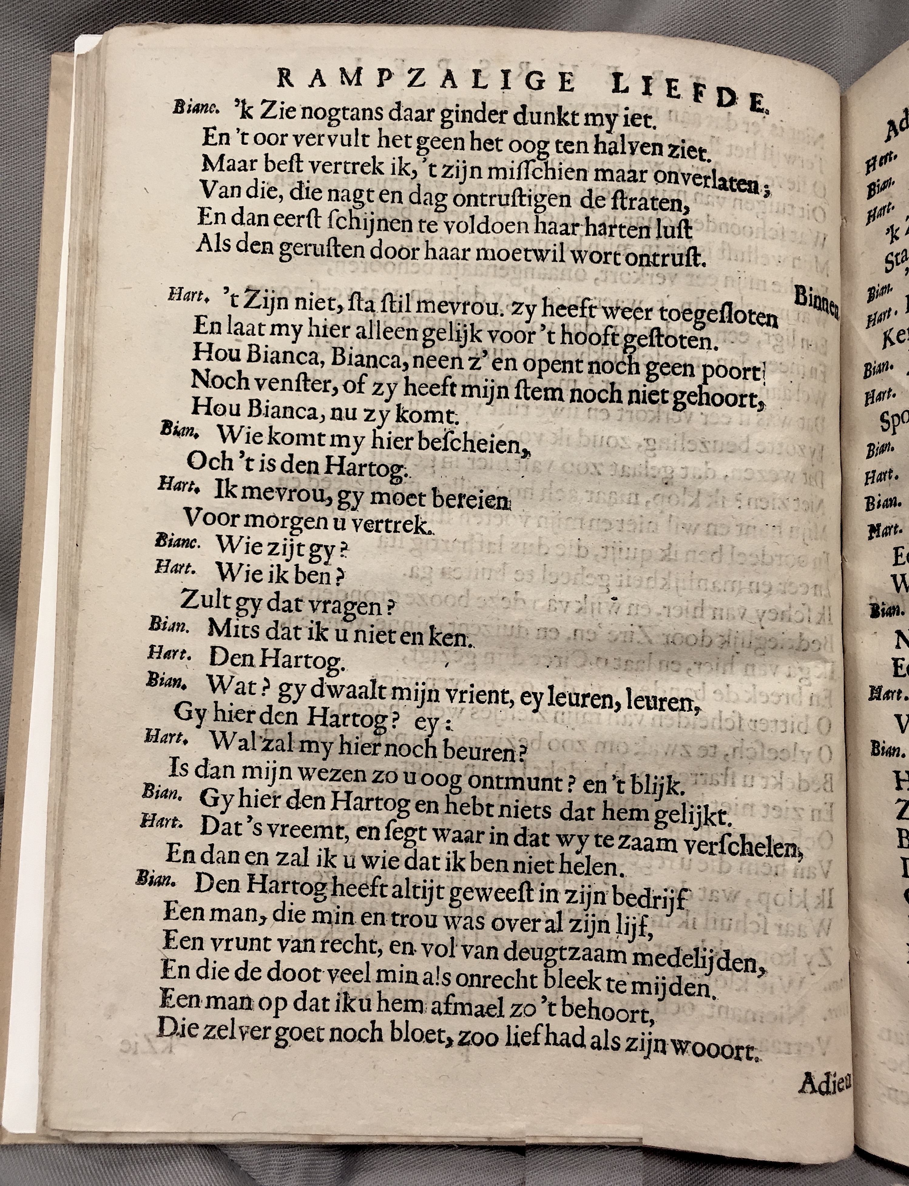 BosBianca1649p42.jpg