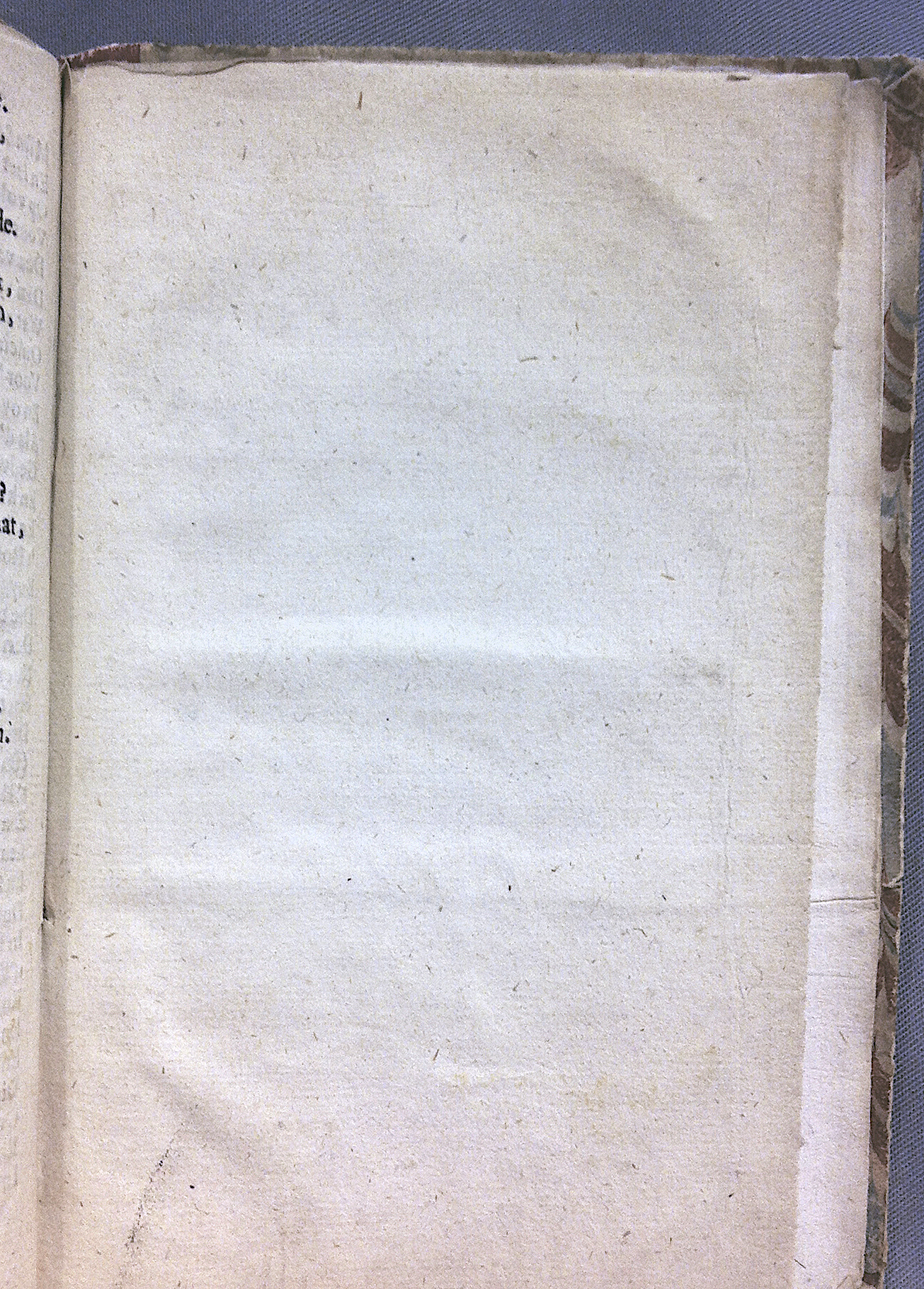 BosWilhem1662p55.jpg