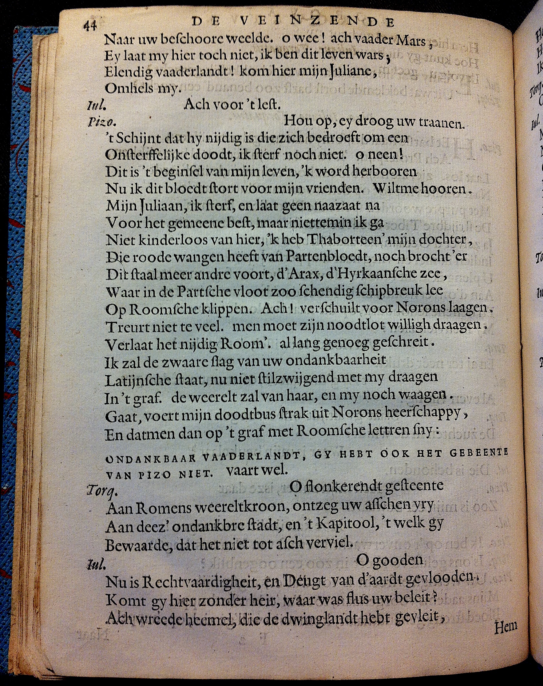 BrandtTorquatus1645p44.jpg