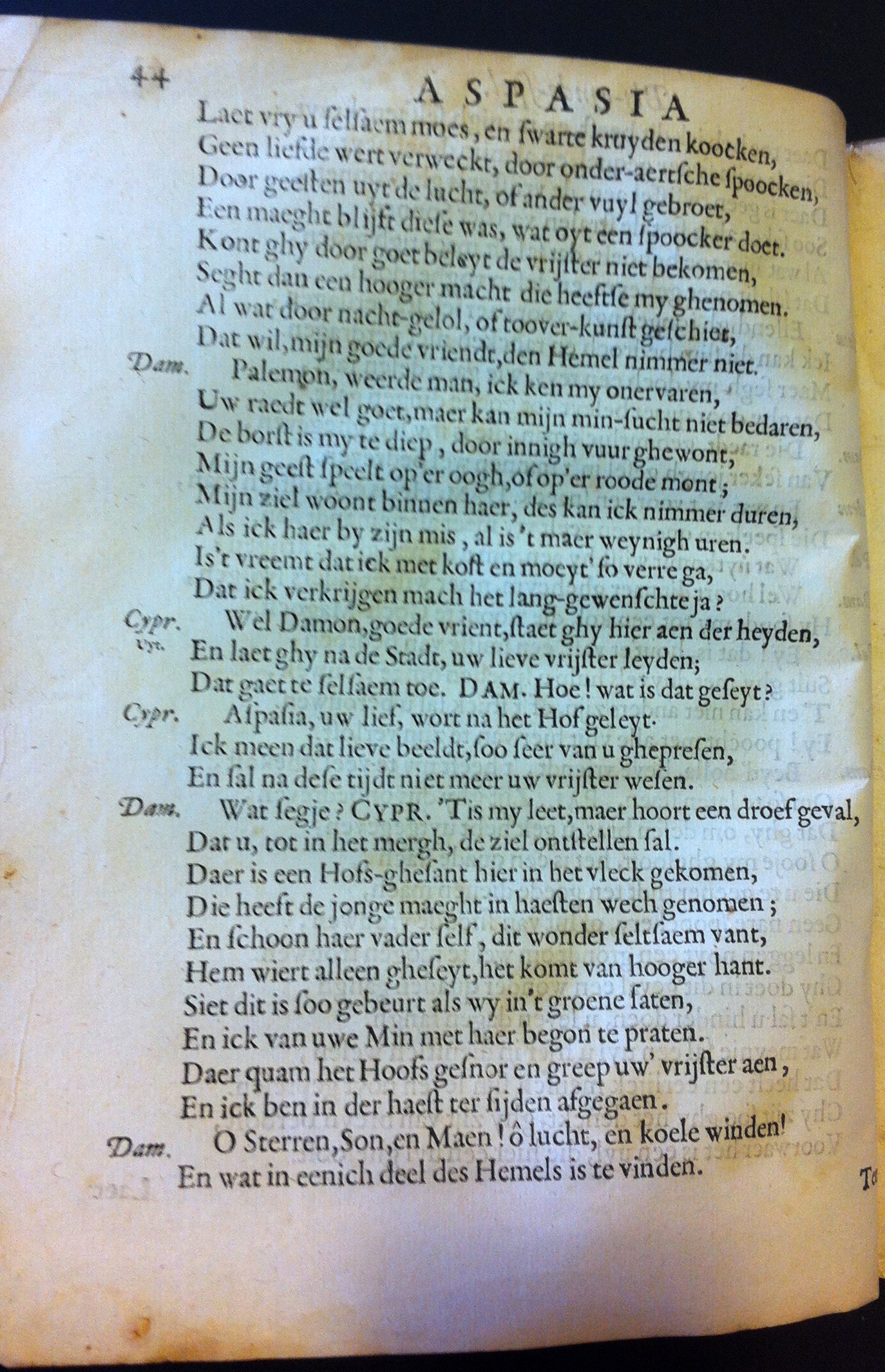 catsaspasia1655_50