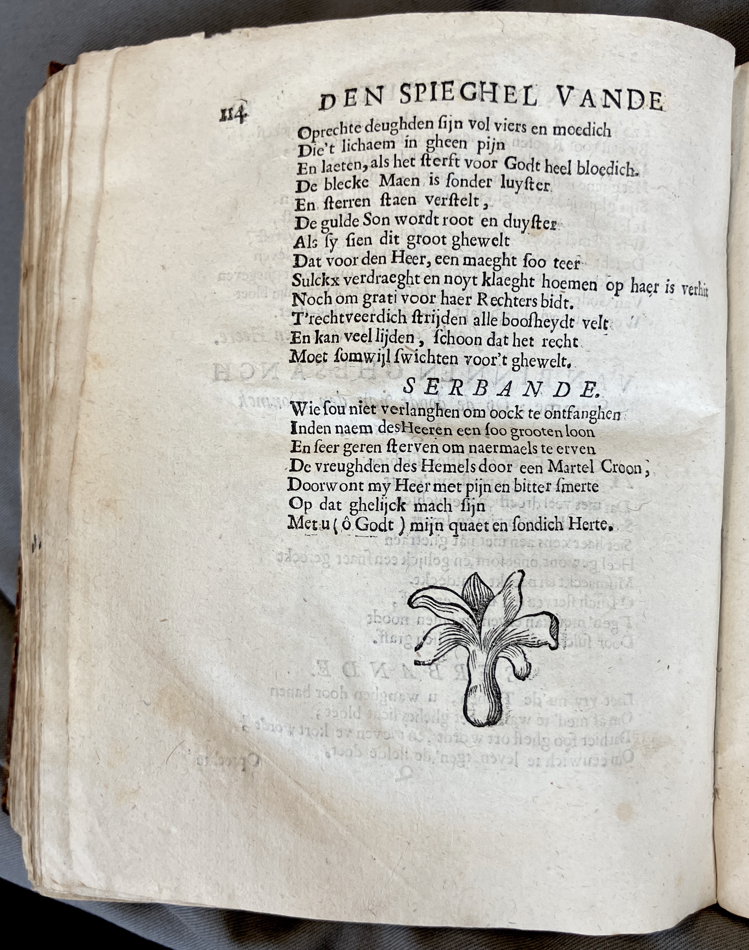 DeBieCecilia1671p114