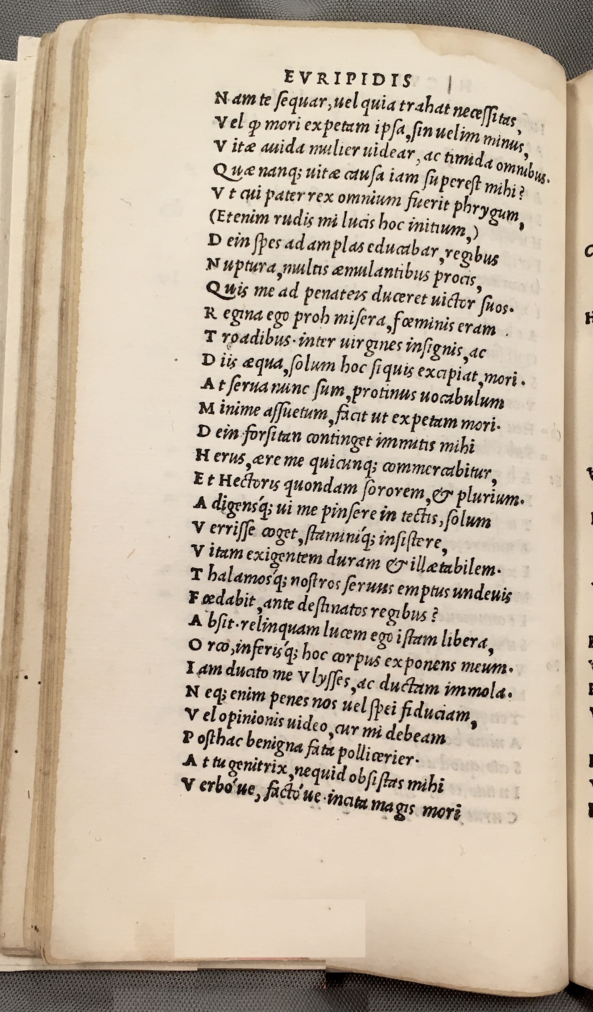 ErasmusEuripides1507p014.jpg