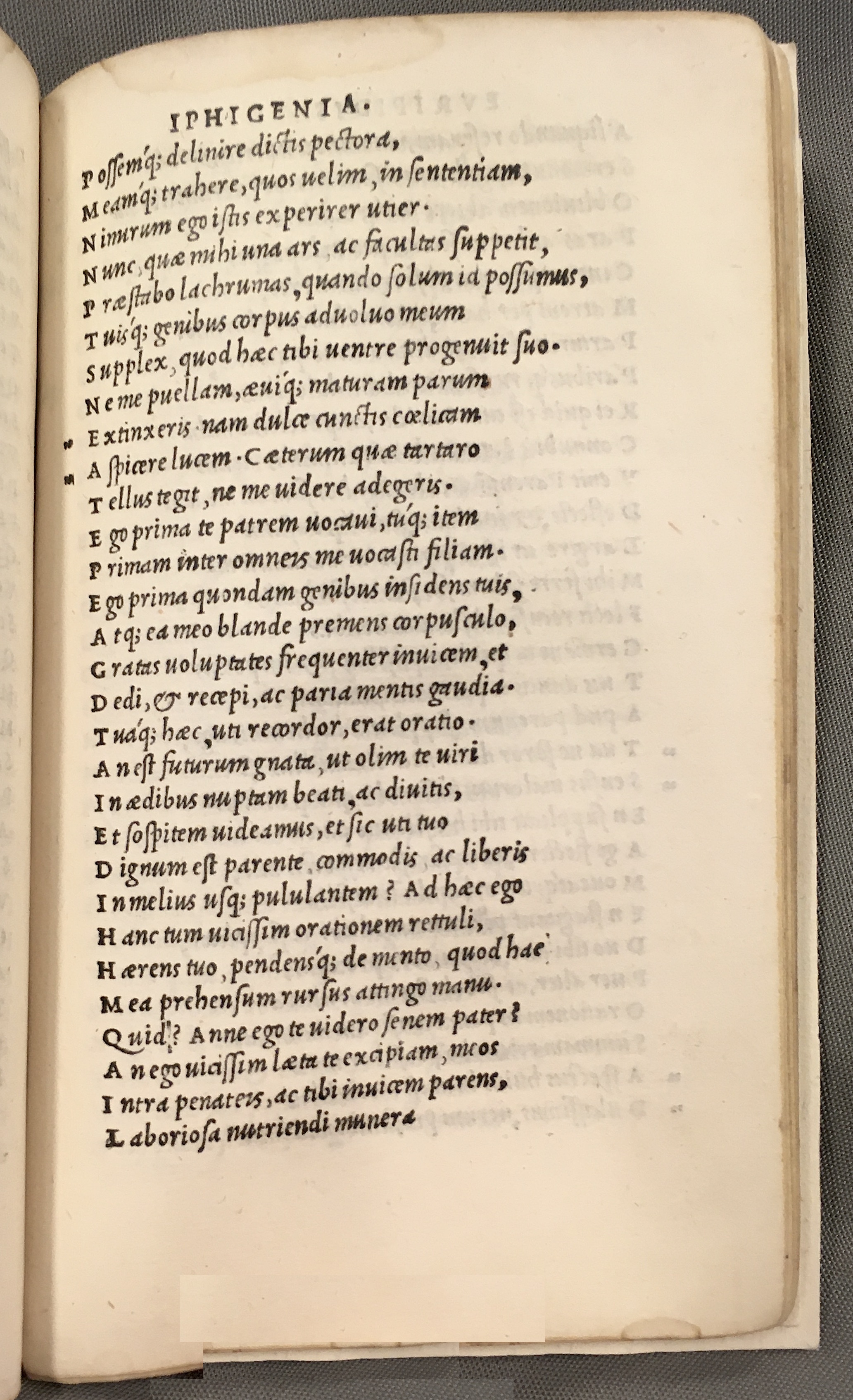 ErasmusEuripides1507p109