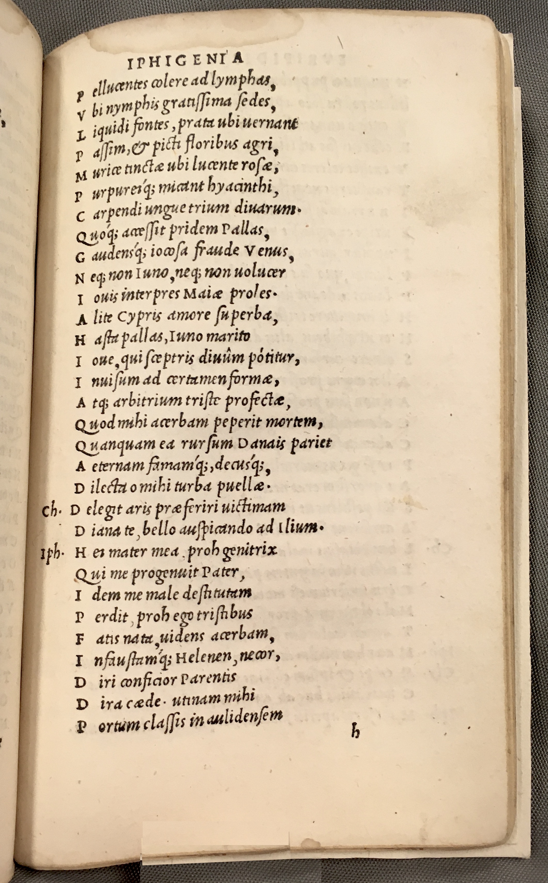 ErasmusEuripides1507p113