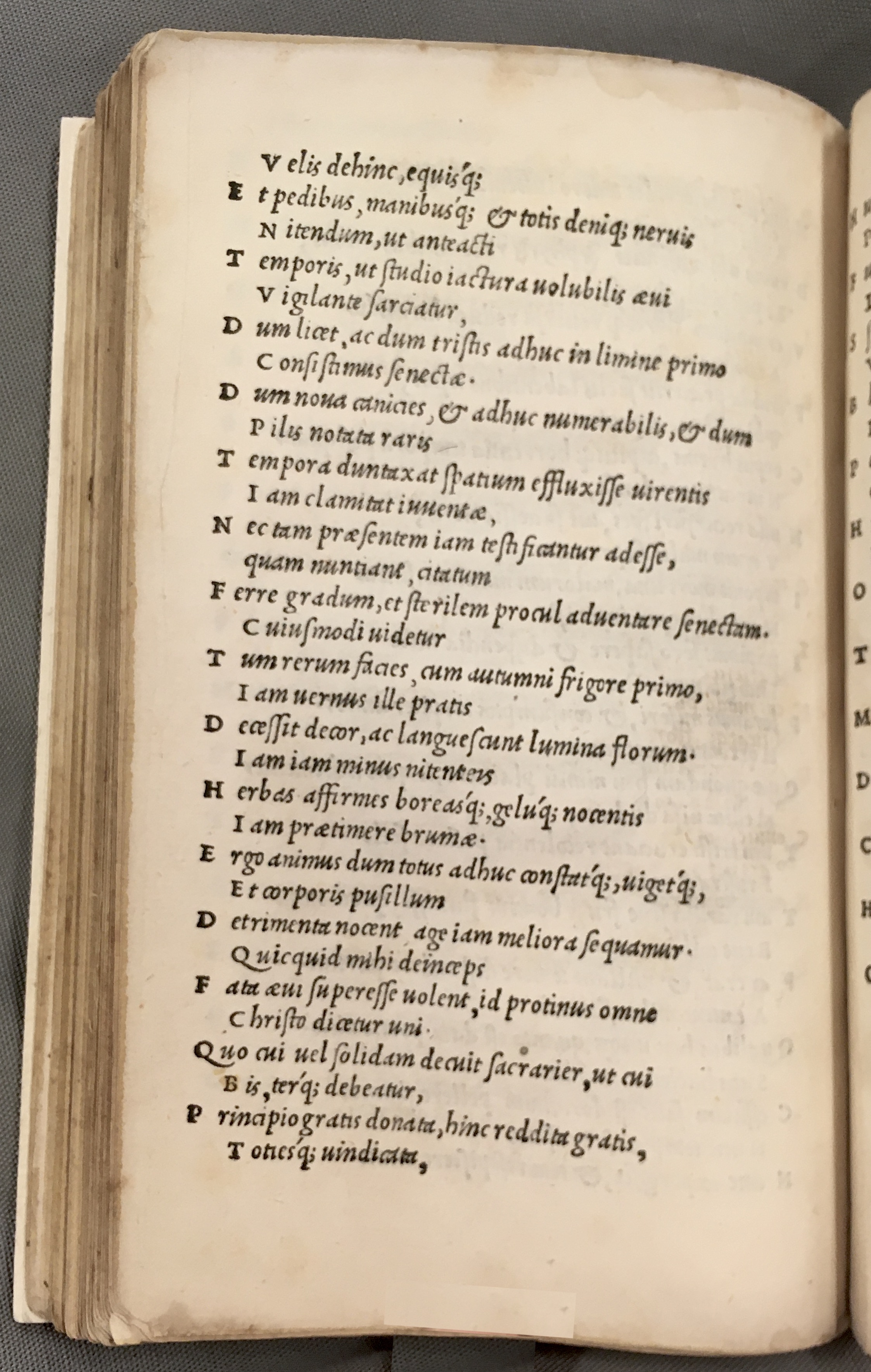 ErasmusEuripides1507p142