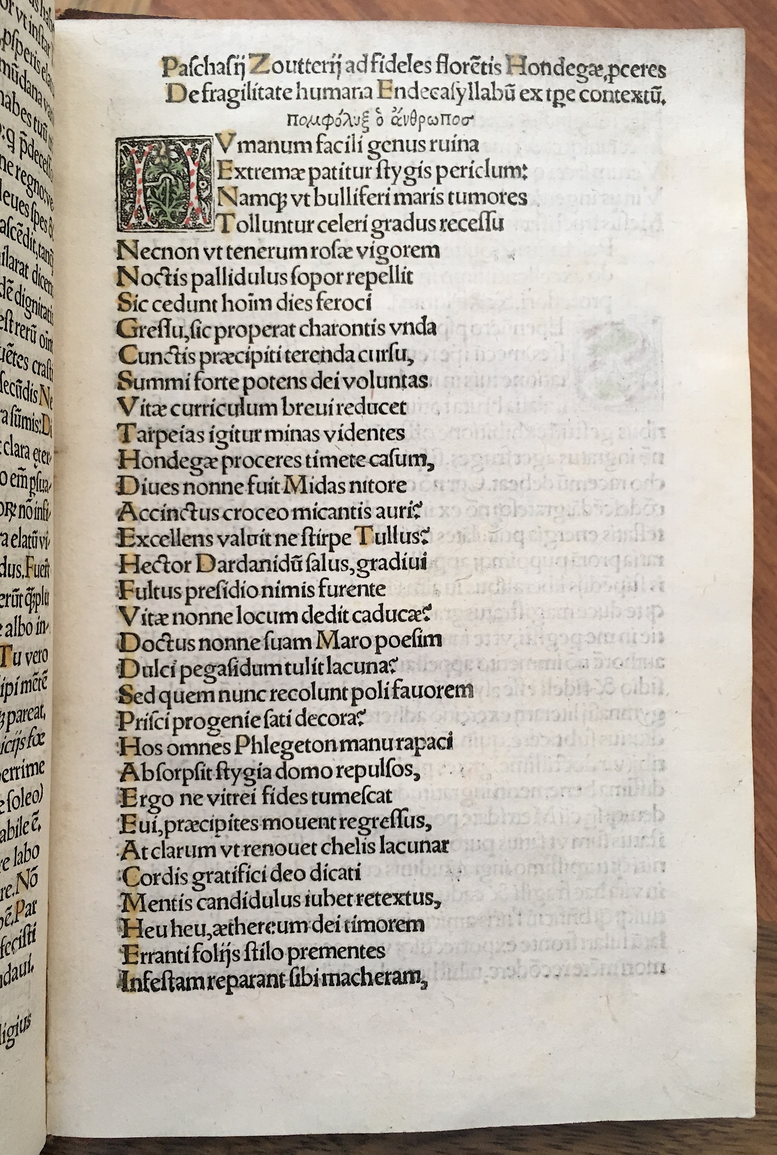 Grisellis1519p119