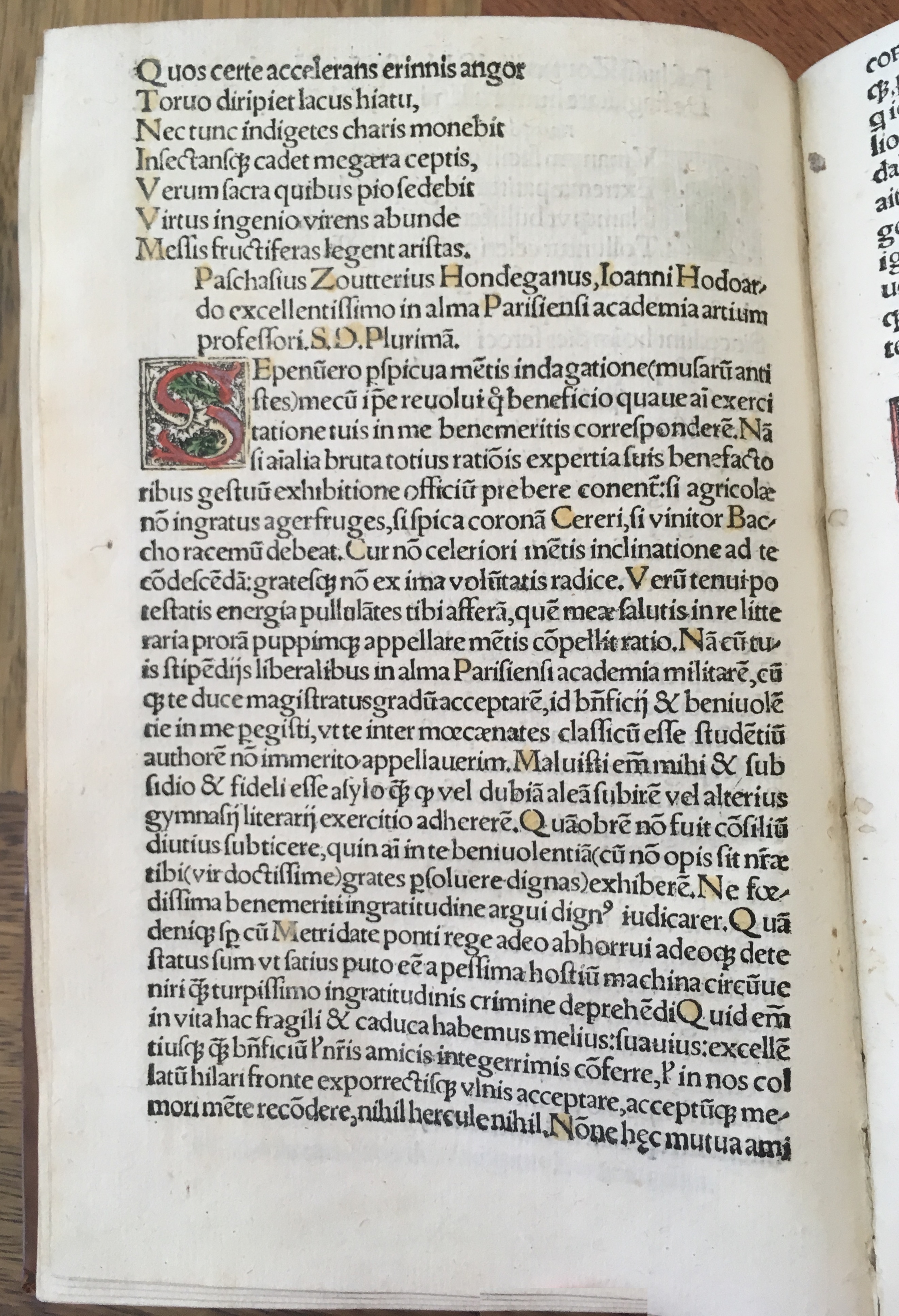 Grisellis1519p120.jpg