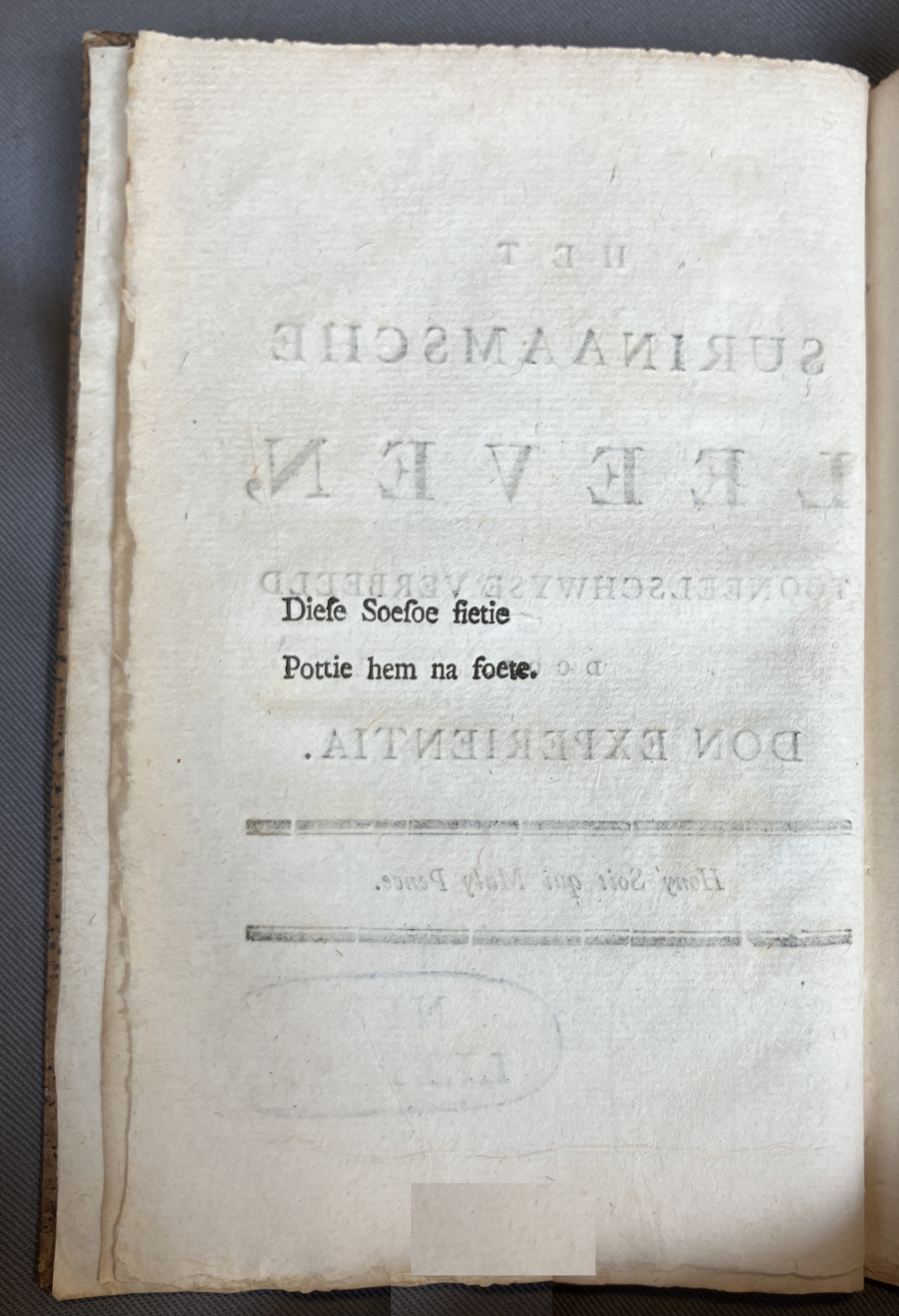 ExperientiaSurinaamscheLeeven1771ca02