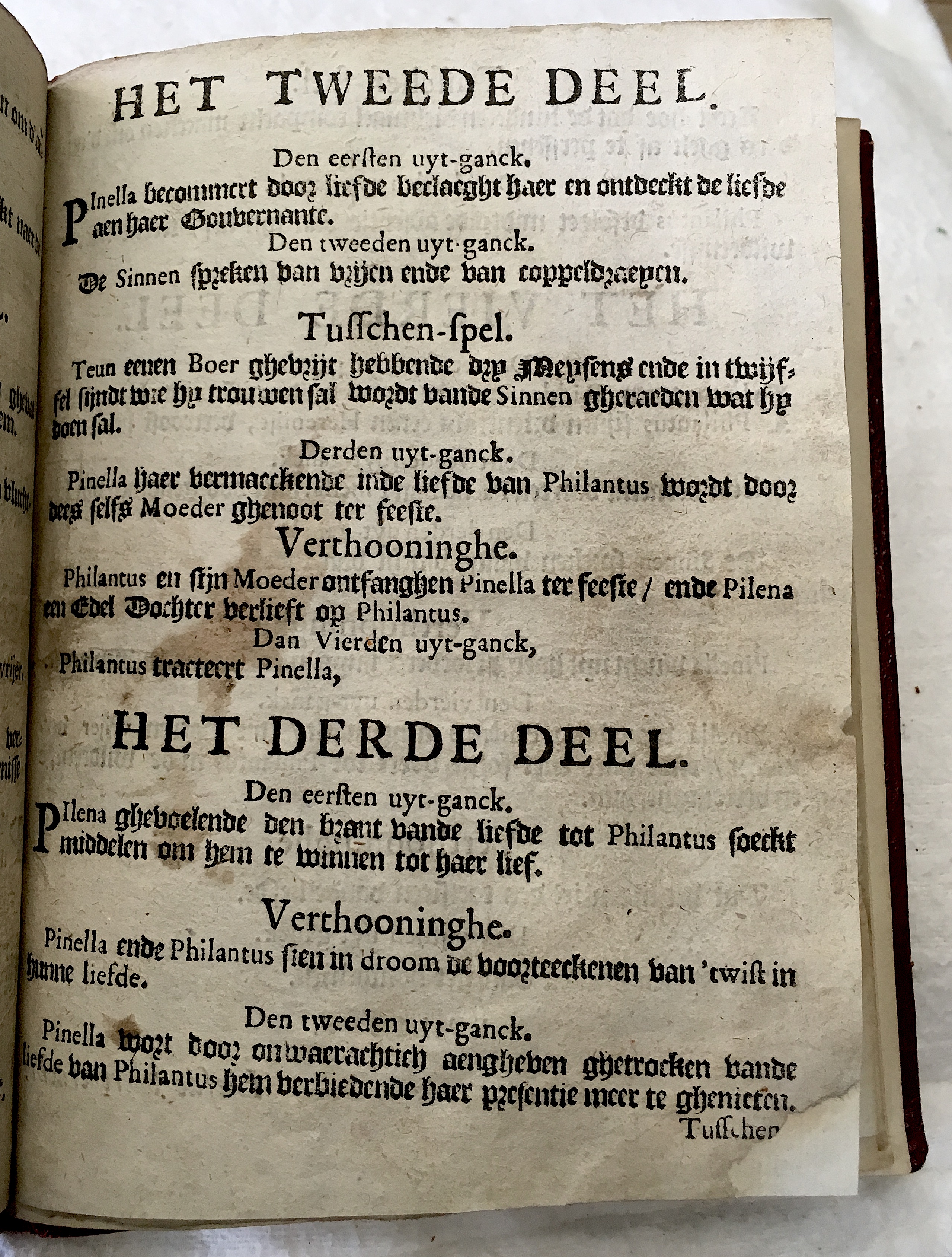 GeeraerdtsPhilantus1659a03.jpg