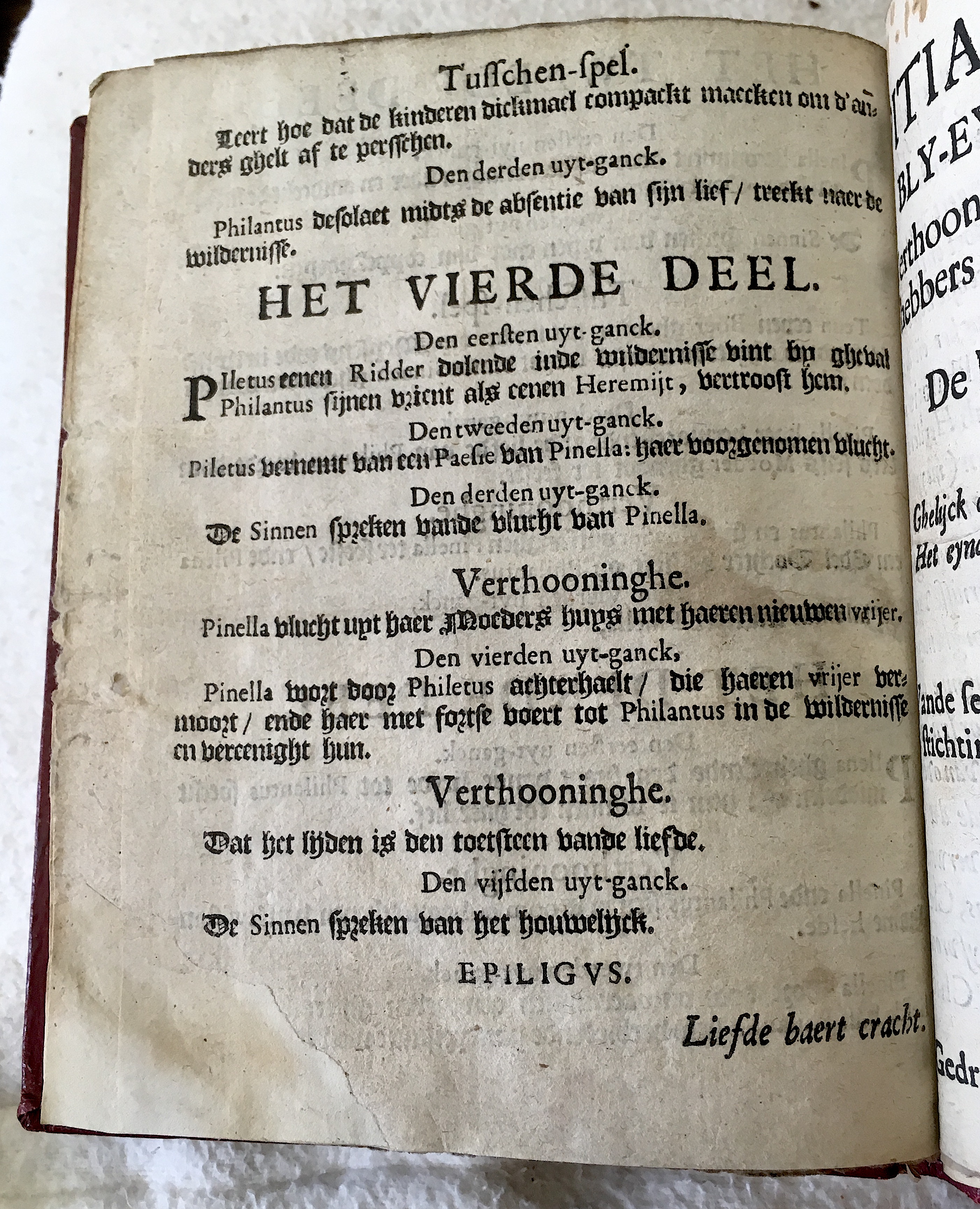 GeeraerdtsPhilantus1659a04.jpg