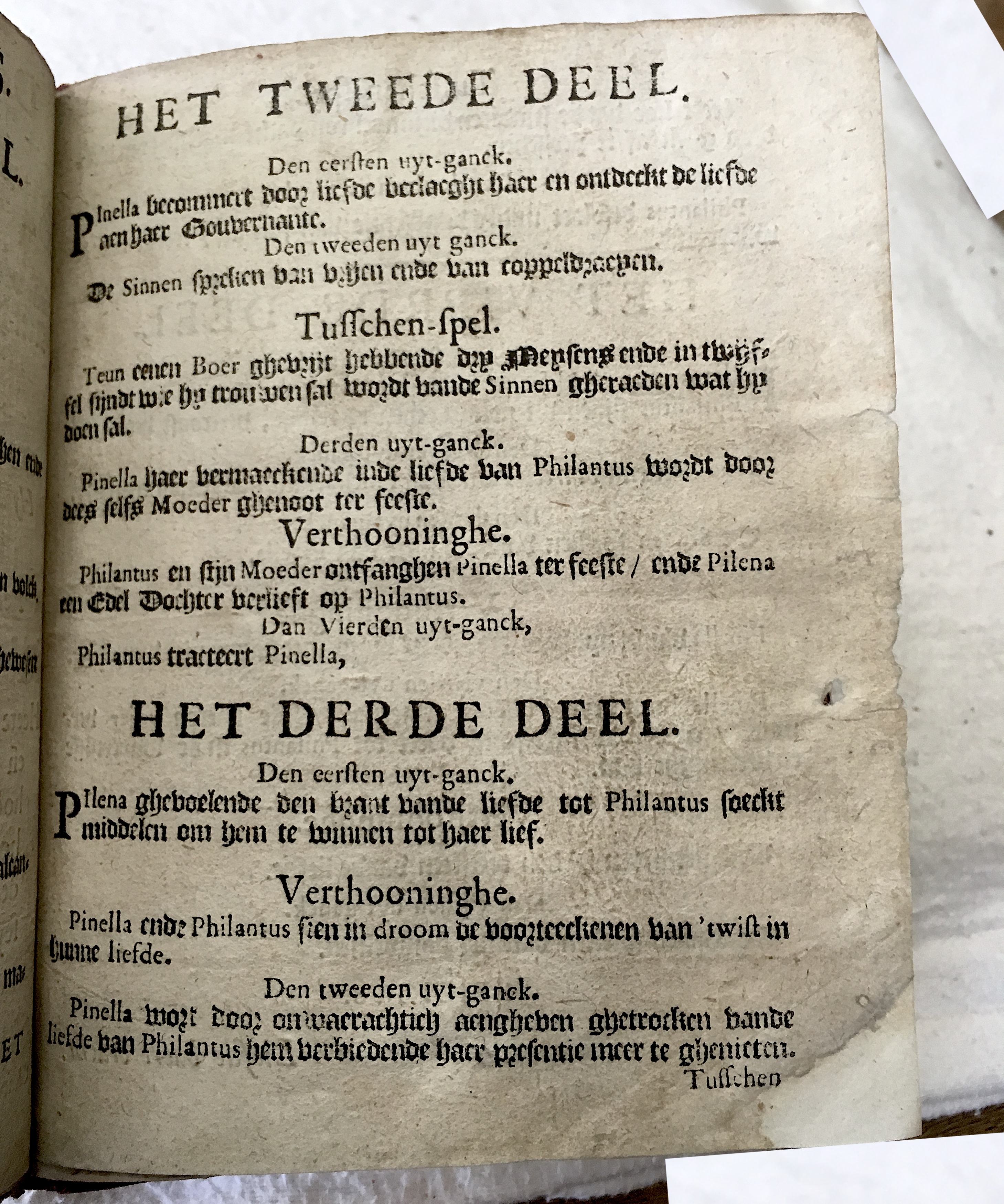 GeeraerdtsPhilantus1659b03.jpg