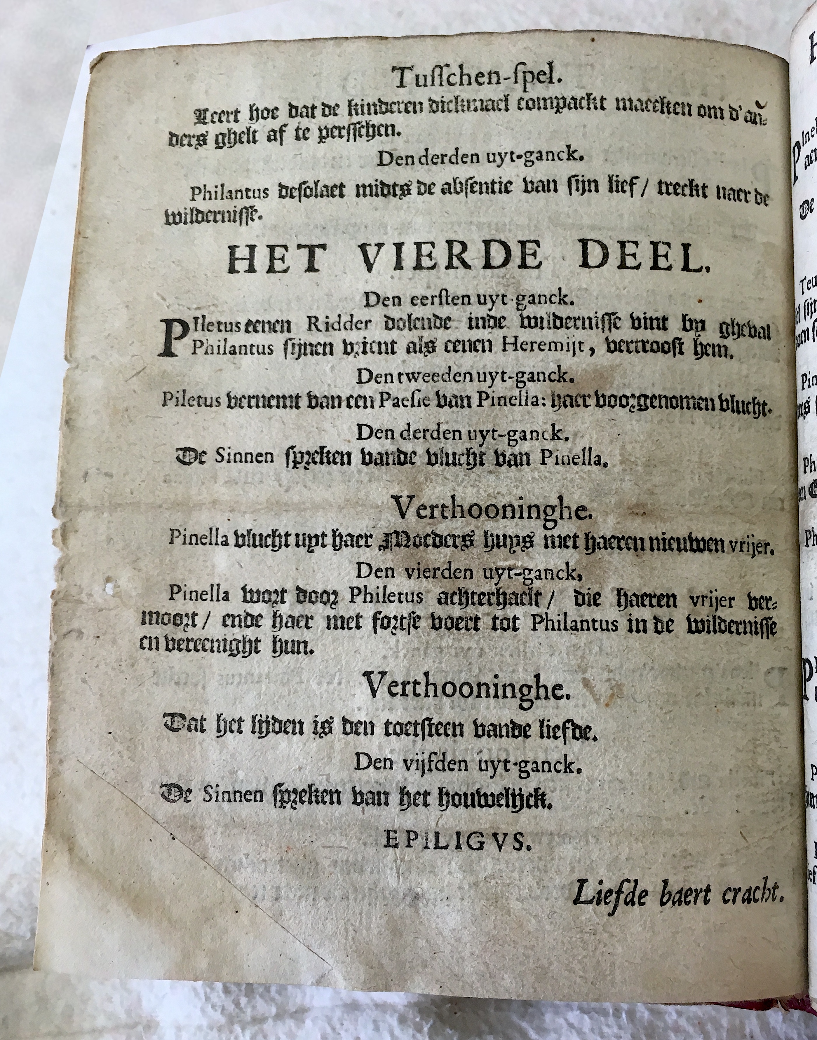 GeeraerdtsPhilantus1659b04.jpg