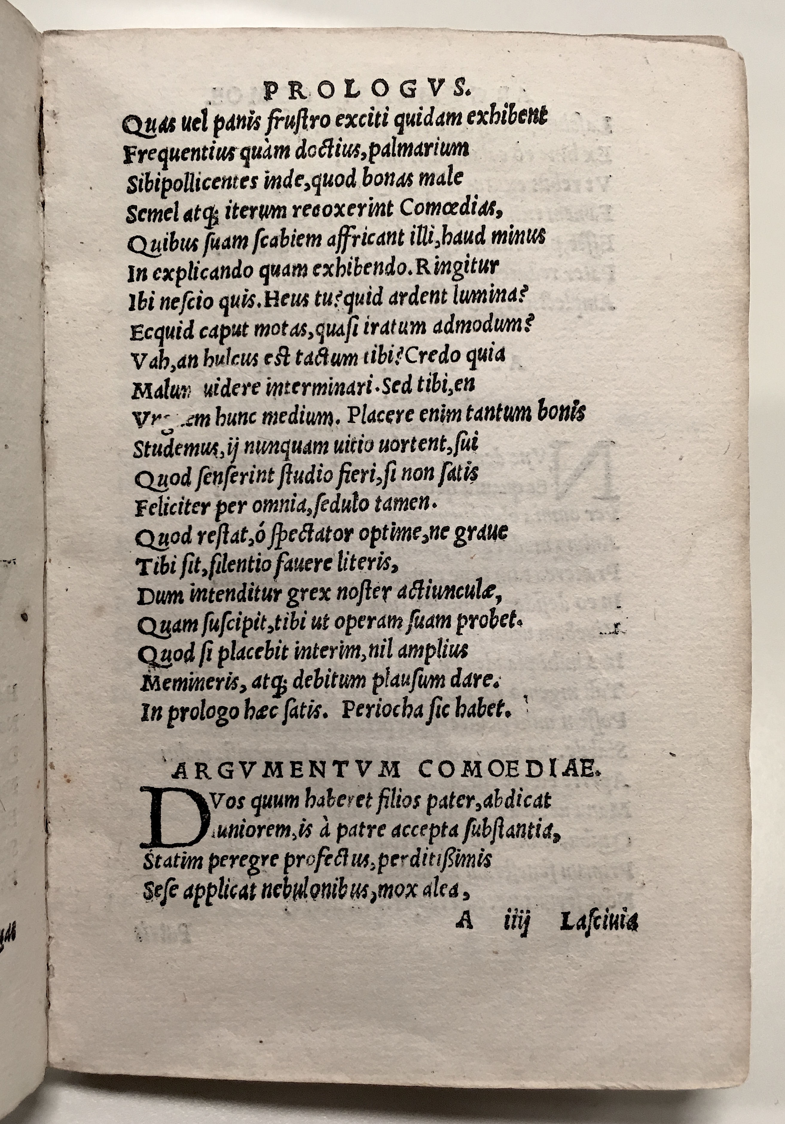 GnapheusAcolastus1533p07.jpg