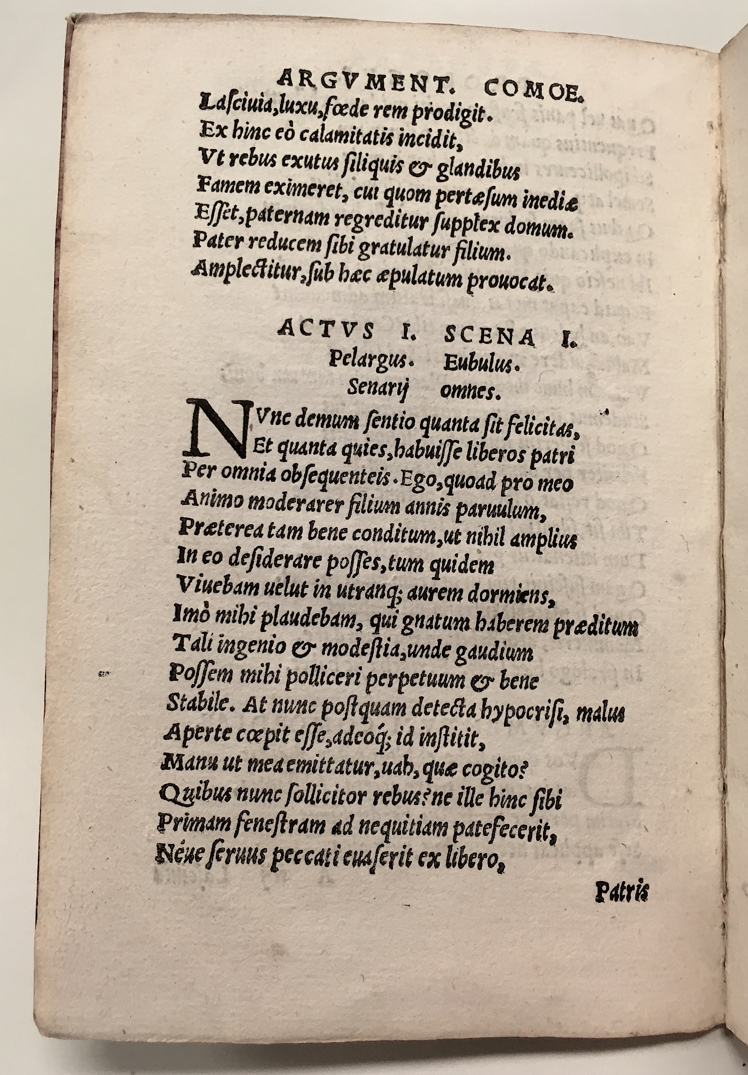 GnapheusAcolastus1533p08.jpg