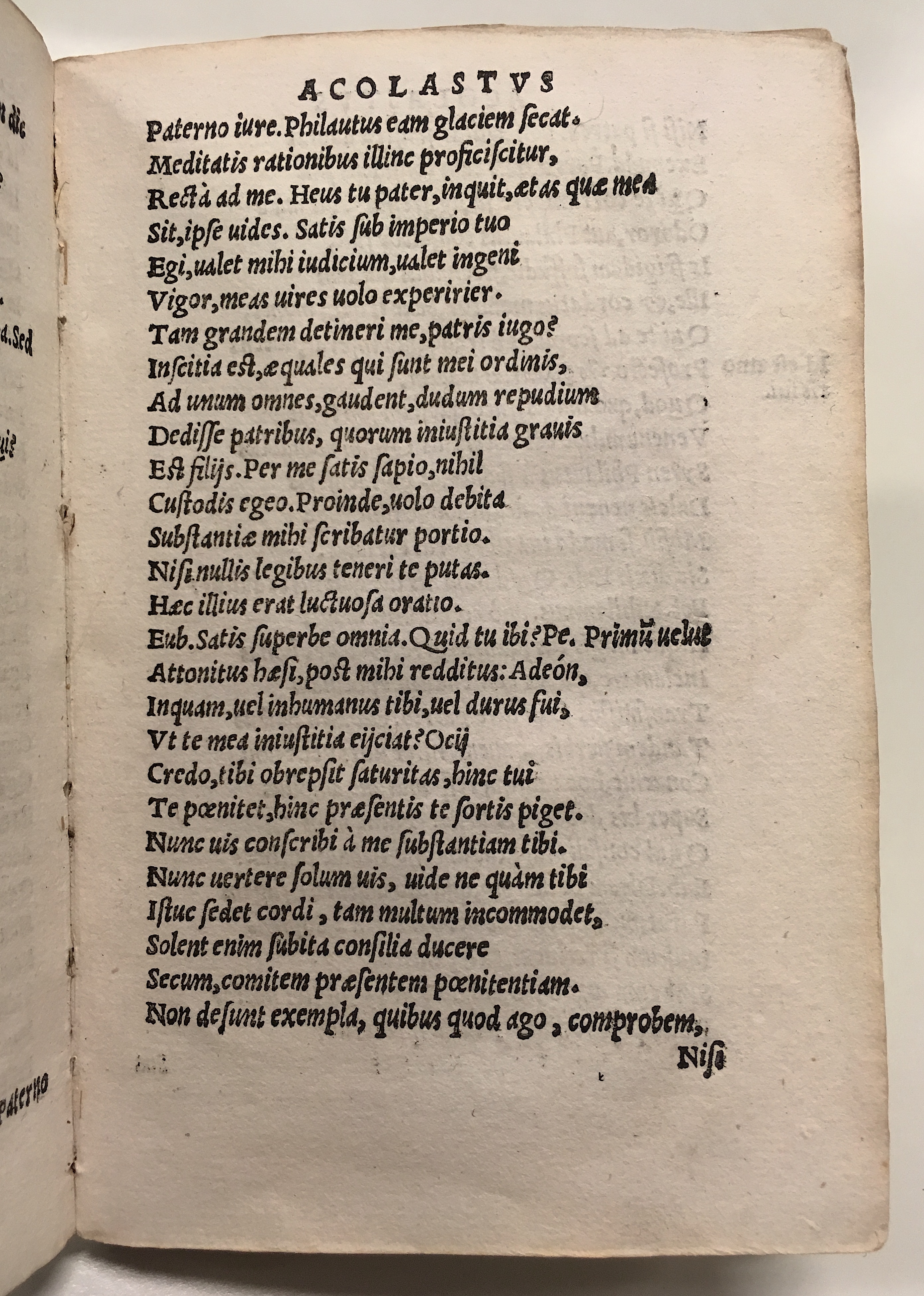 GnapheusAcolastus1533p11.jpg