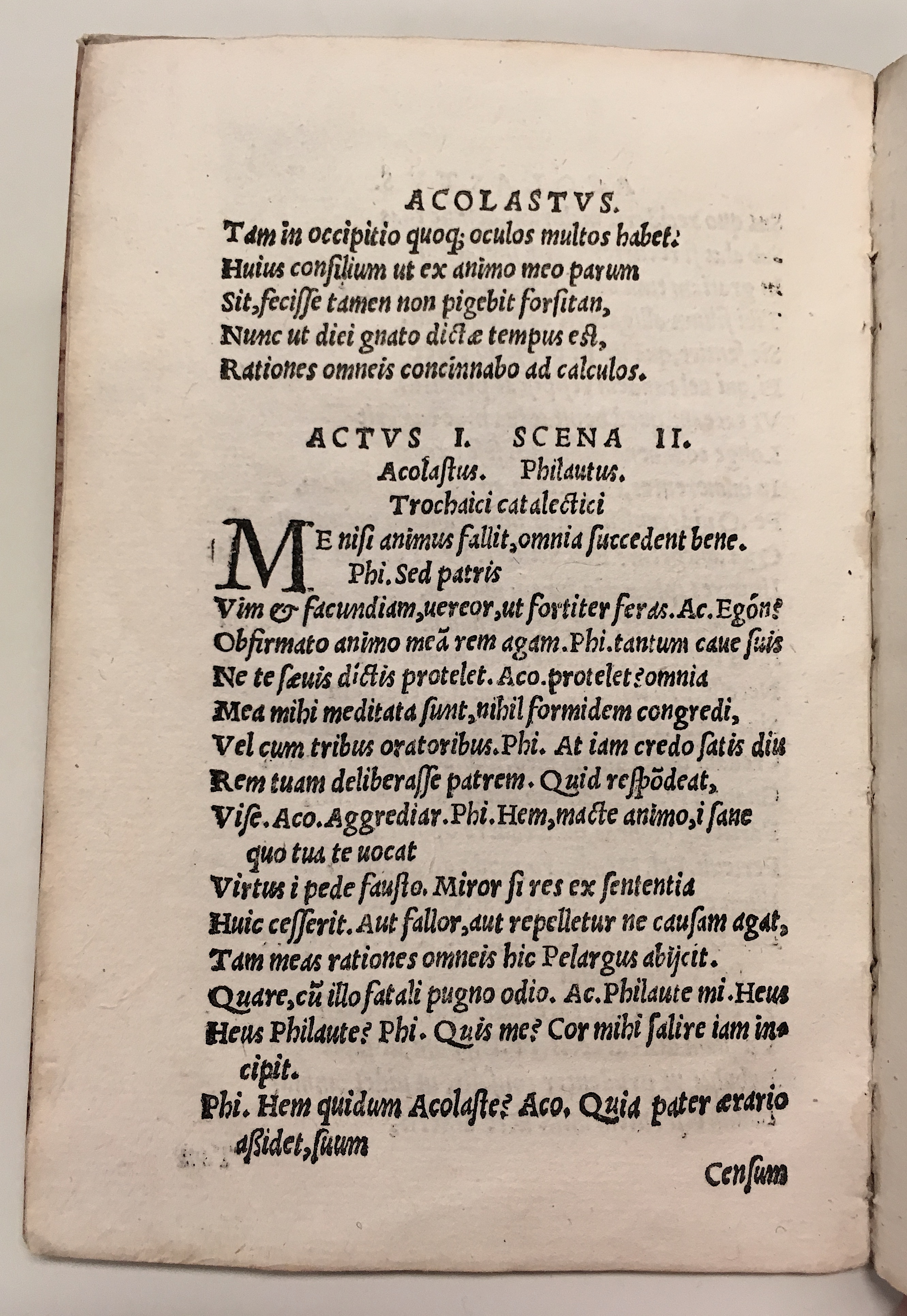 GnapheusAcolastus1533p14.jpg