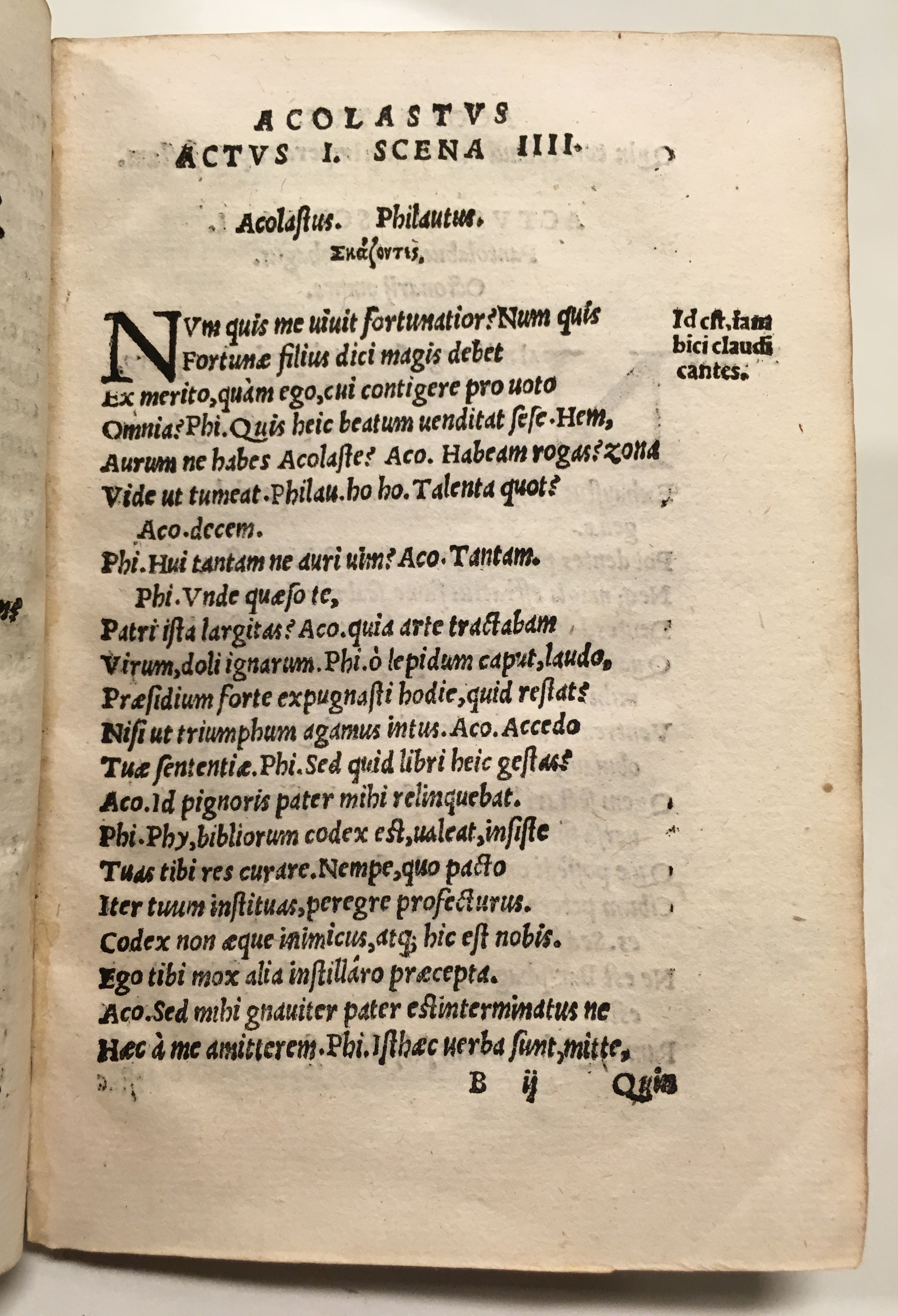 GnapheusAcolastus1533p19.jpg