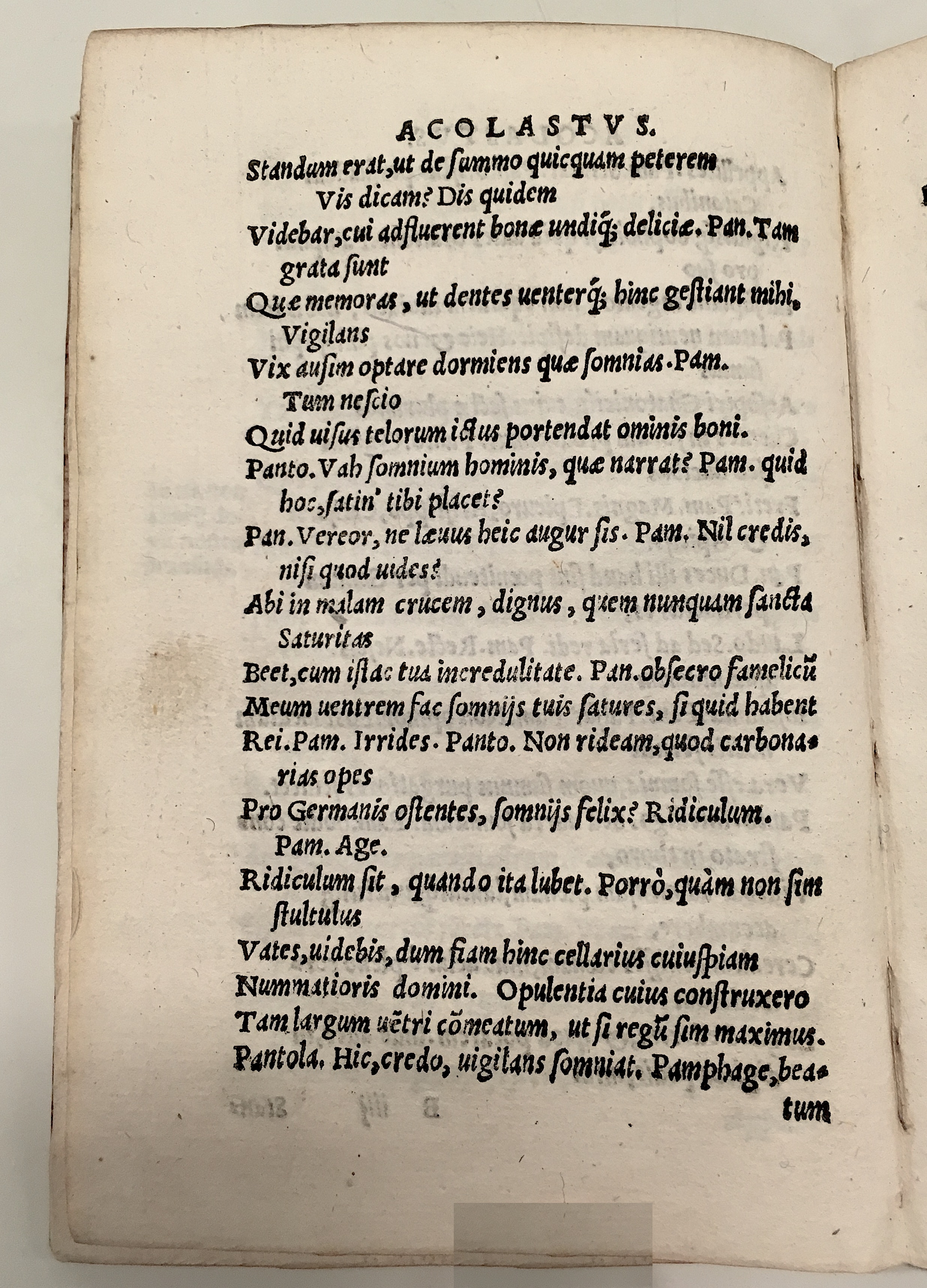 GnapheusAcolastus1533p24.jpg