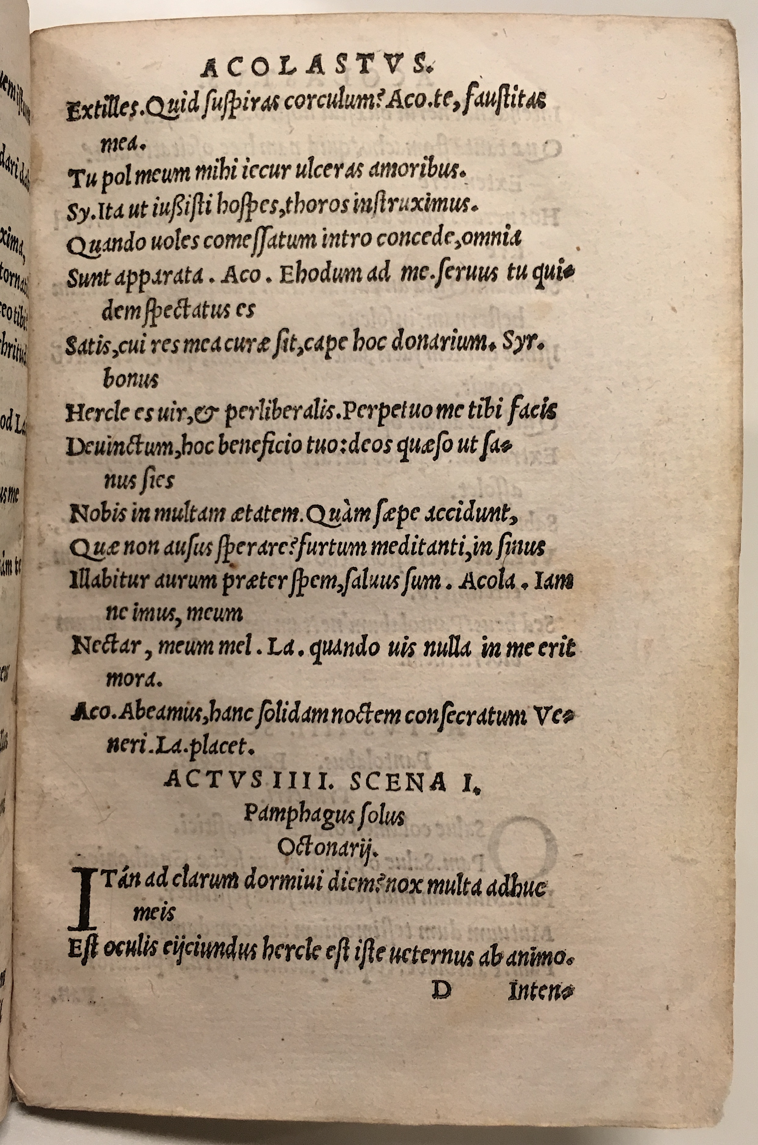 GnapheusAcolastus1533p49.jpg