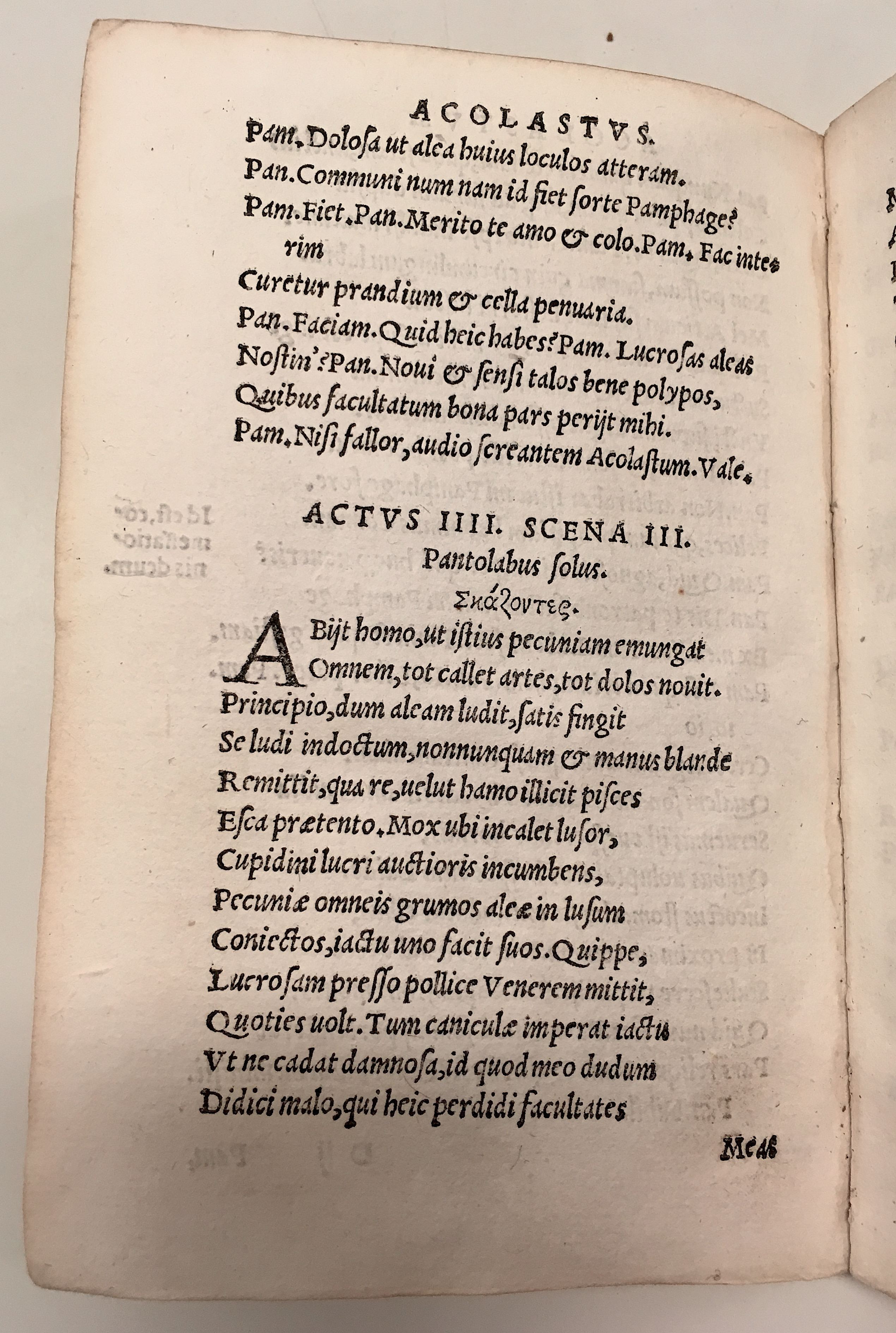 GnapheusAcolastus1533p52