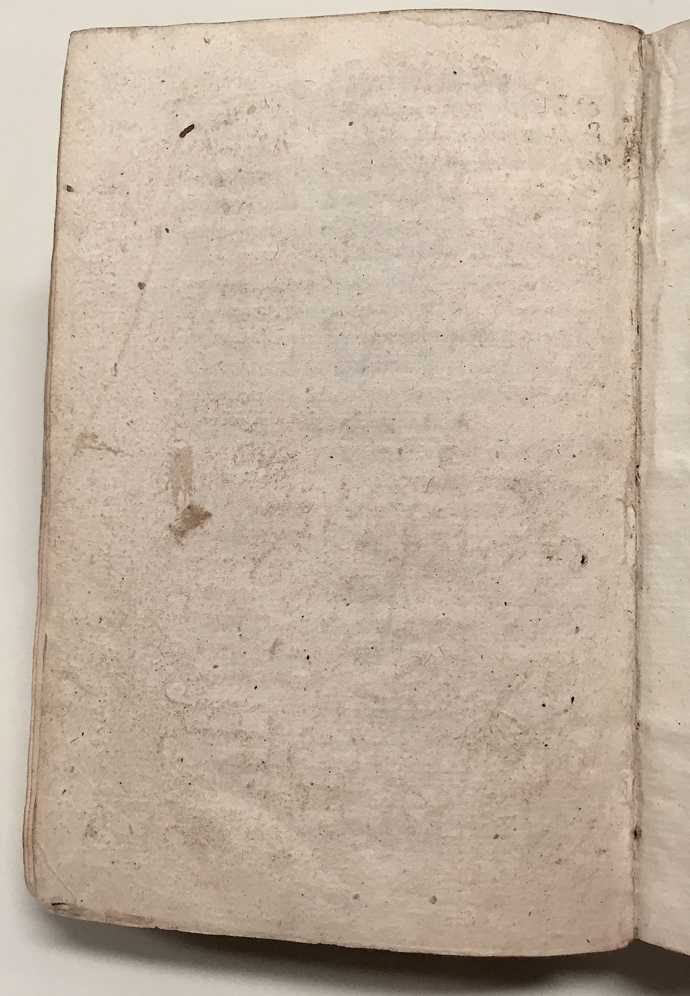 GnapheusAcolastus1533p80