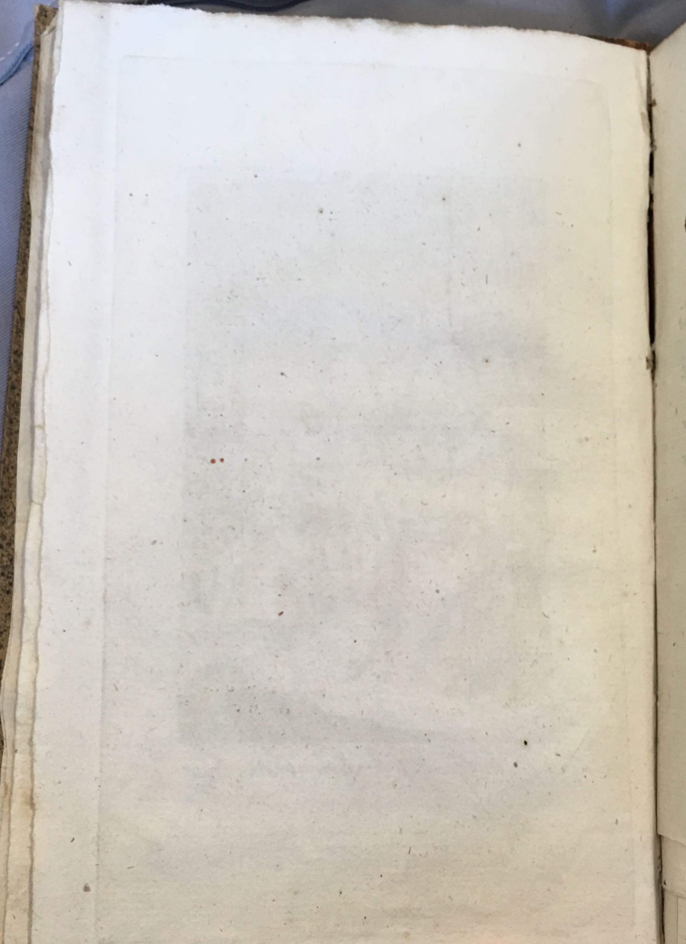 Halfgeschoorne1784a04