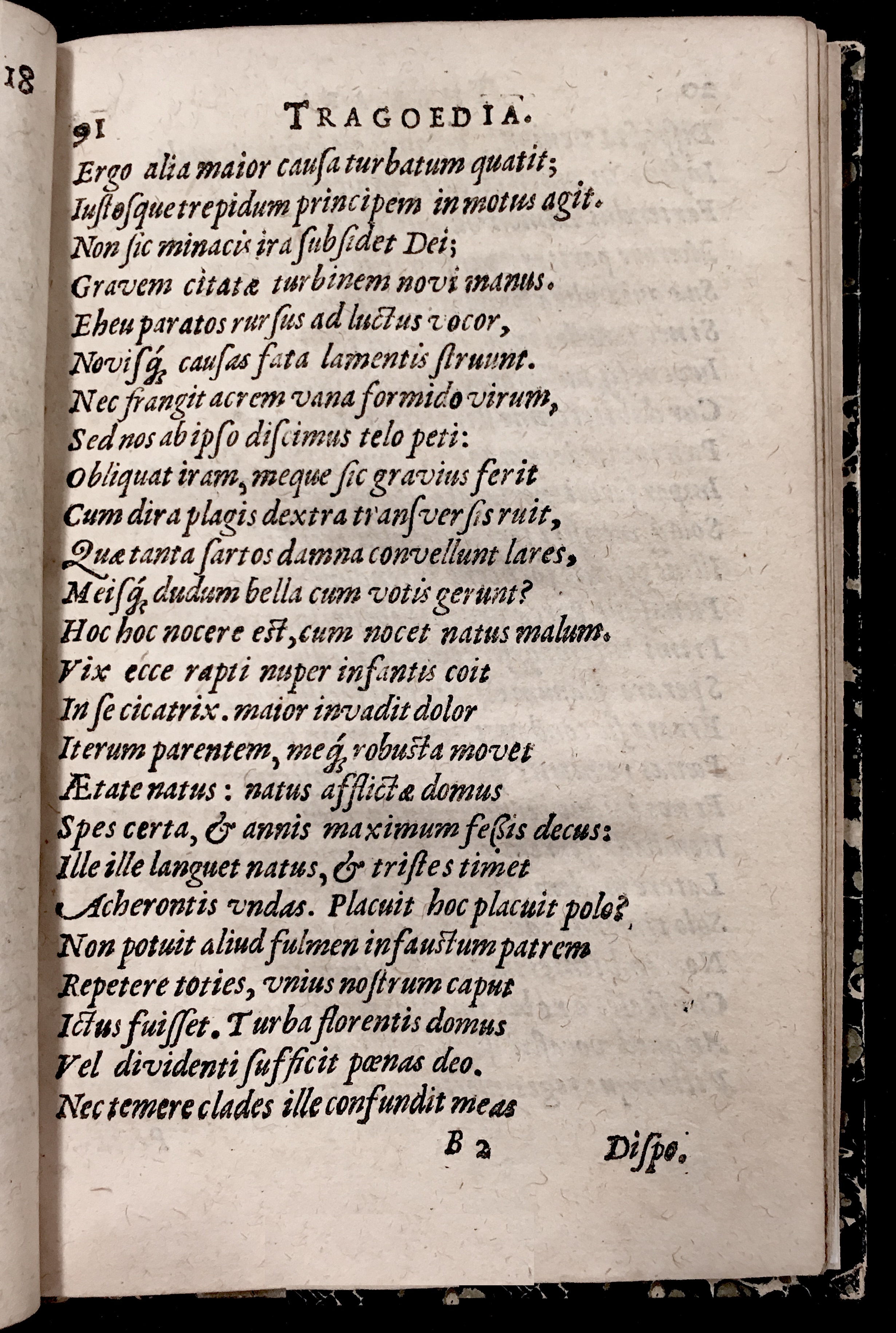 HonerdusThamara1611p19.jpg