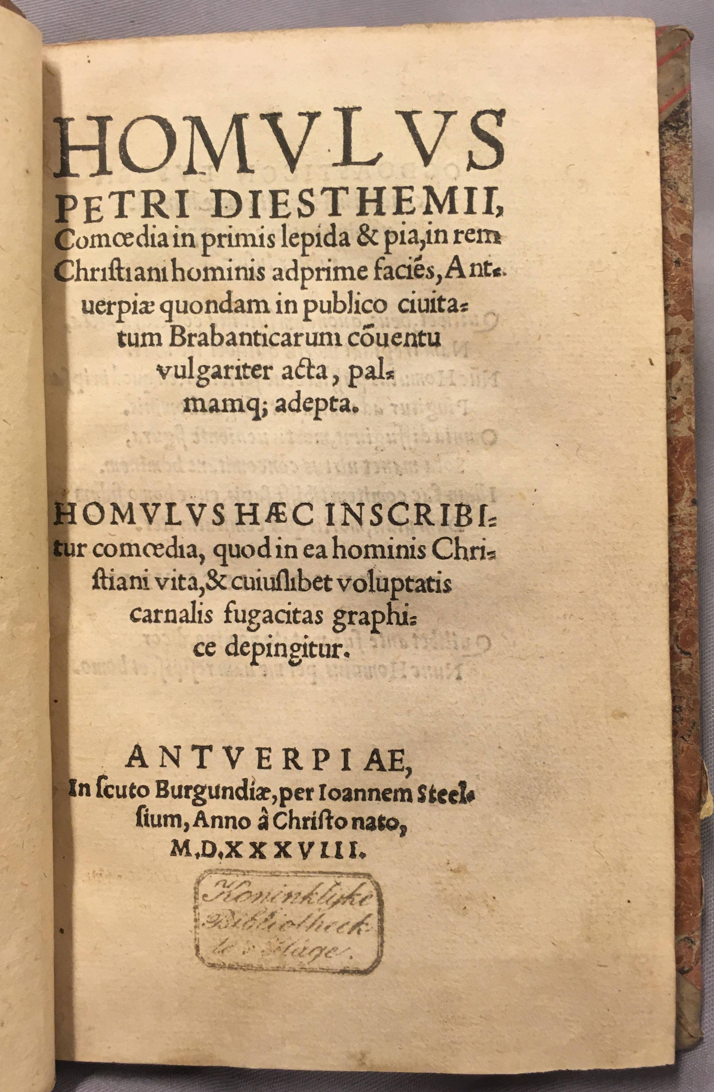 IschyriusHomulus1538p01.jpg