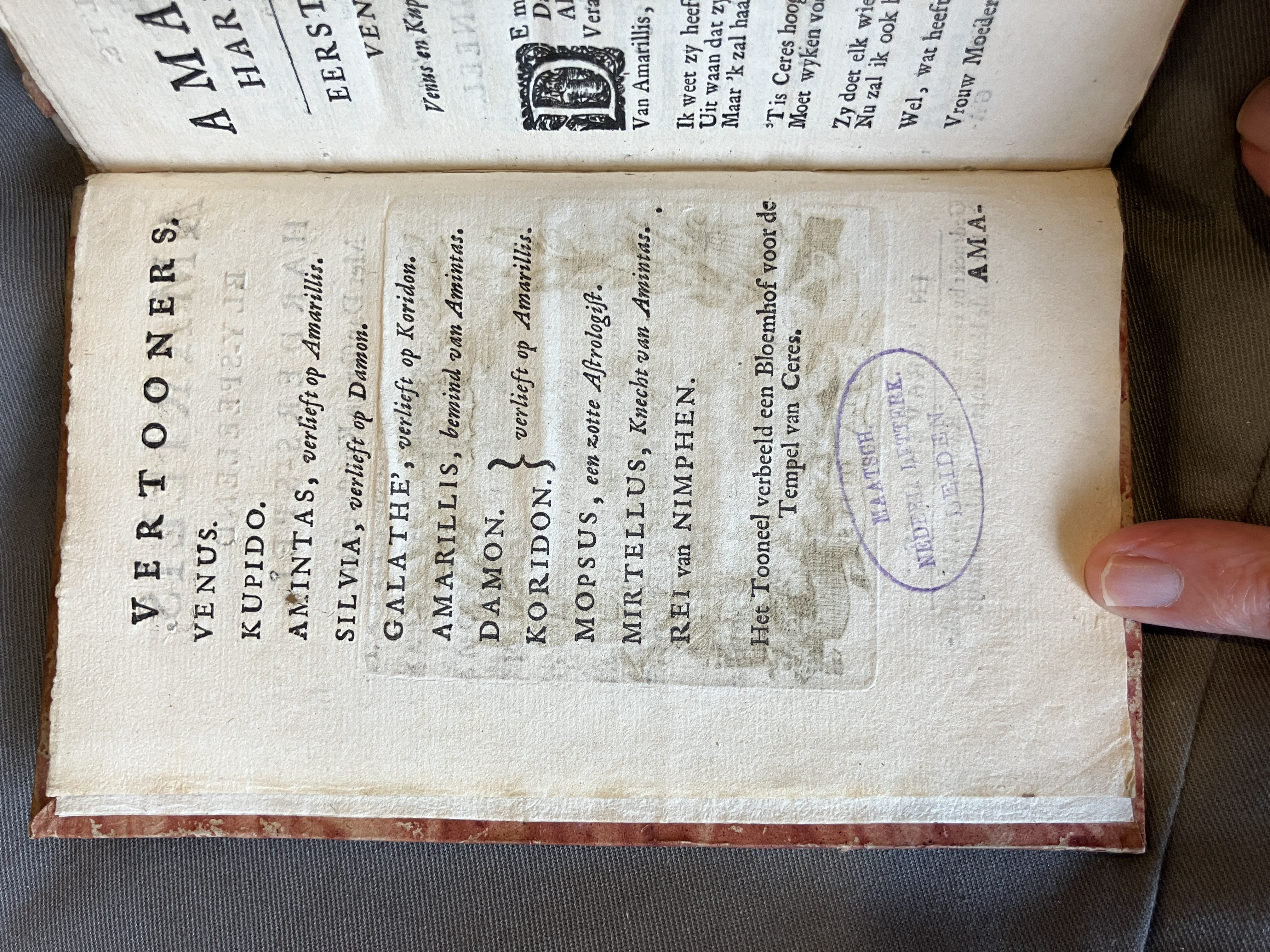 LingelbachAmarillis1713ca02