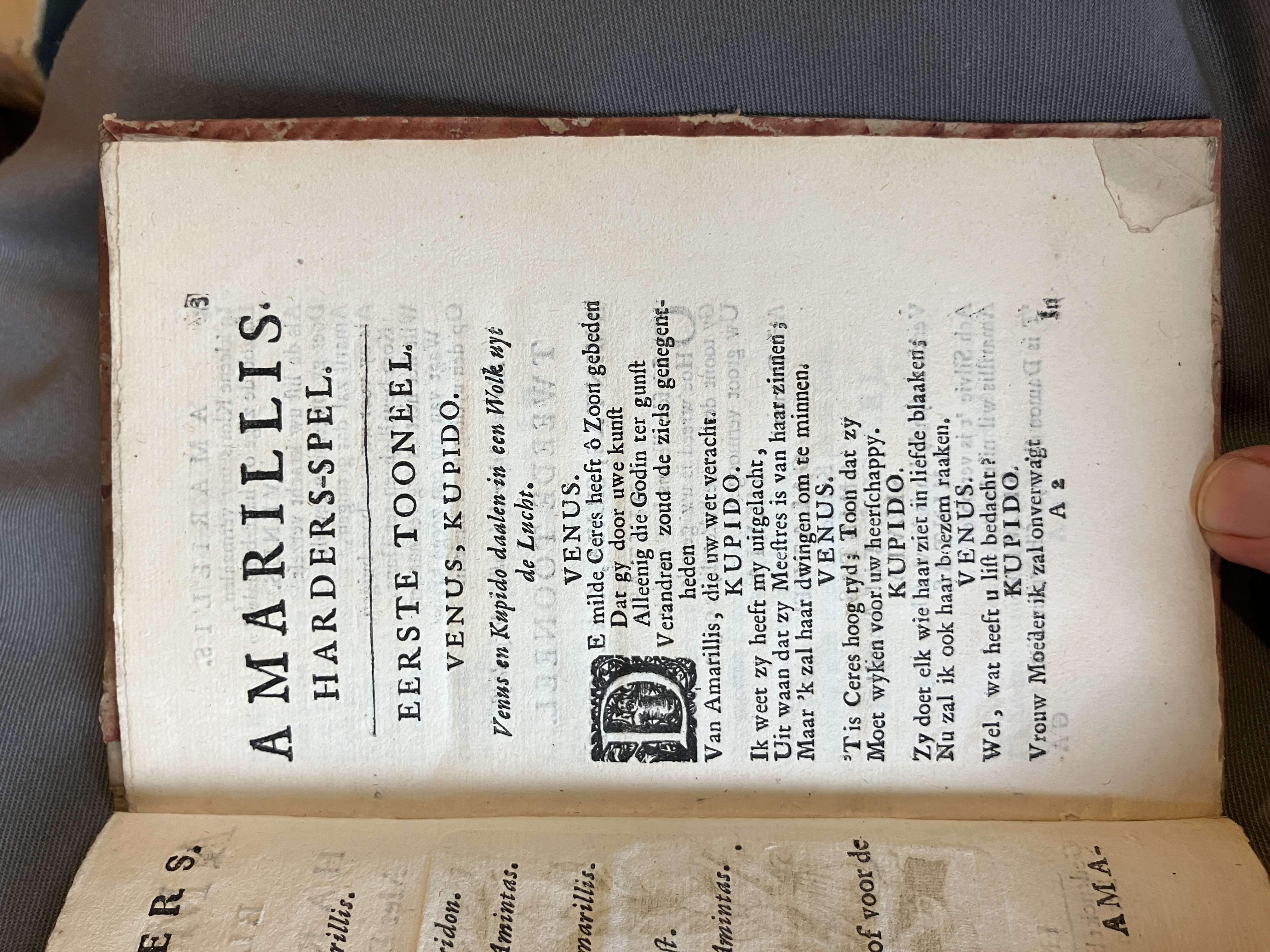 LingelbachAmarillis1713ca03