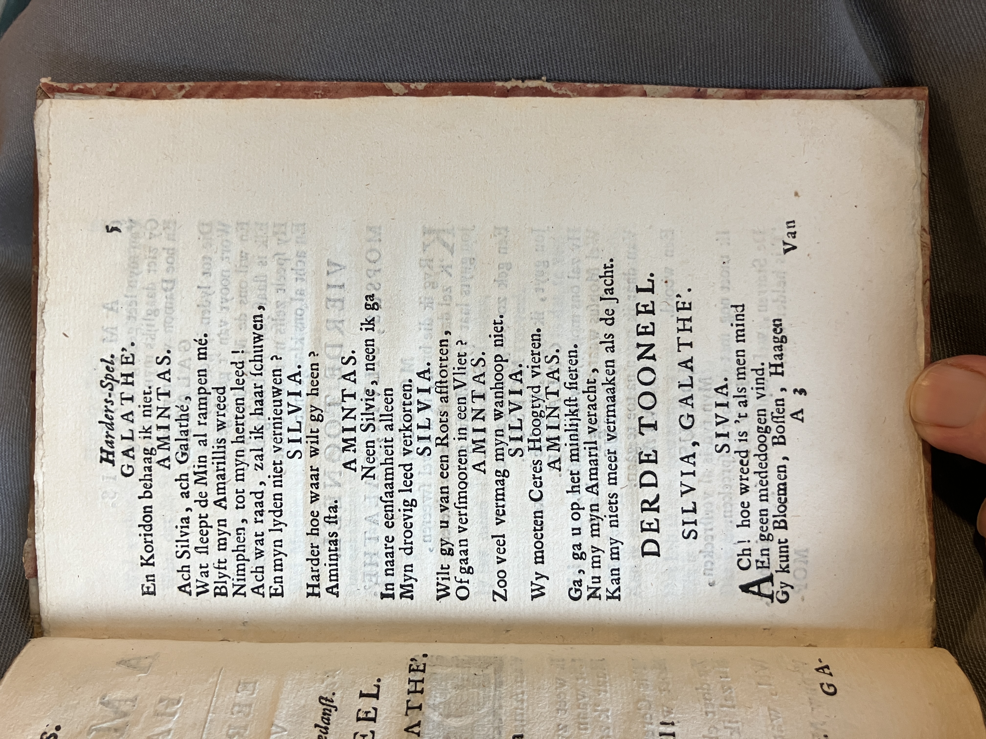 LingelbachAmarillis1713ca05