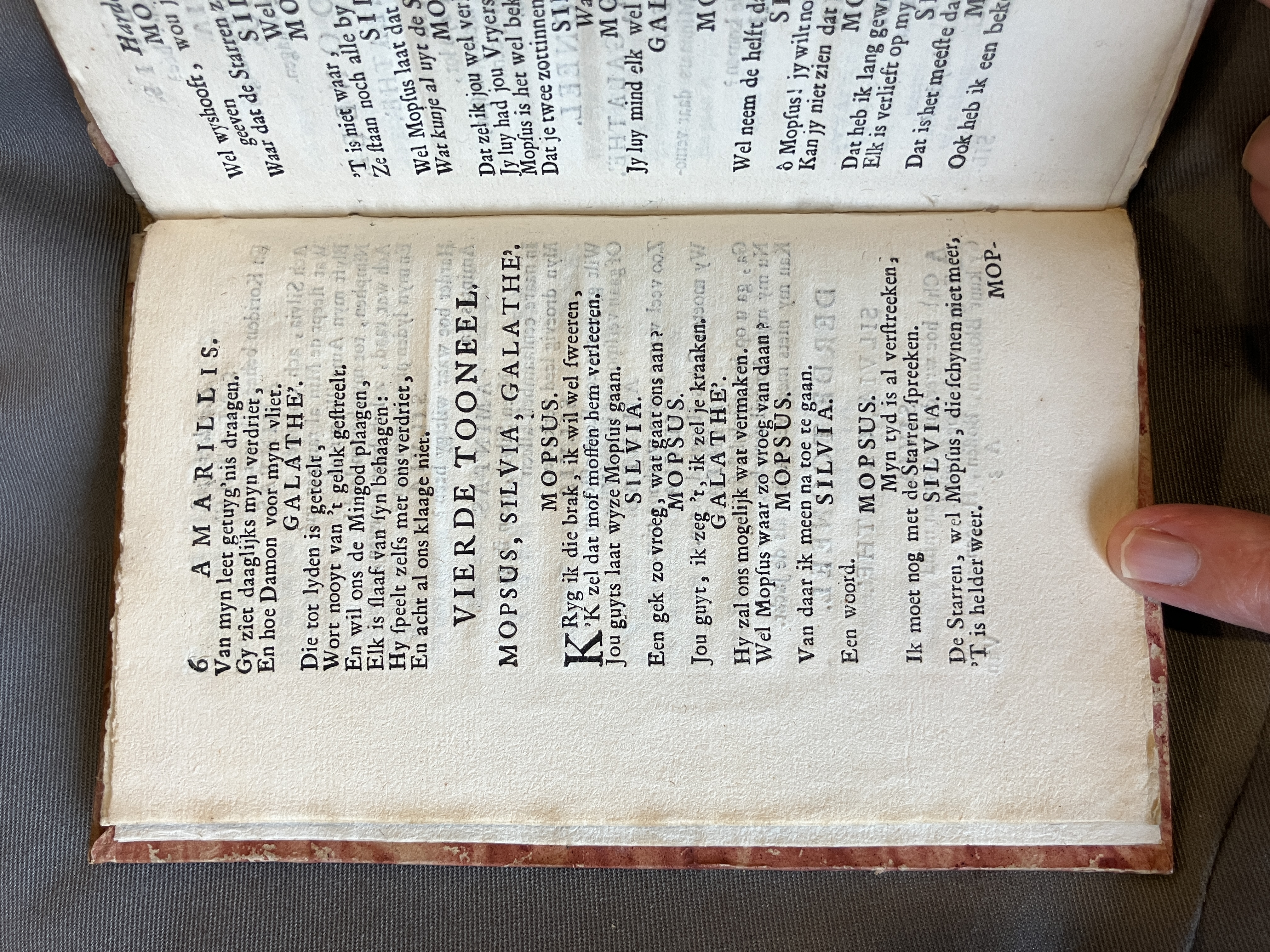 LingelbachAmarillis1713ca06