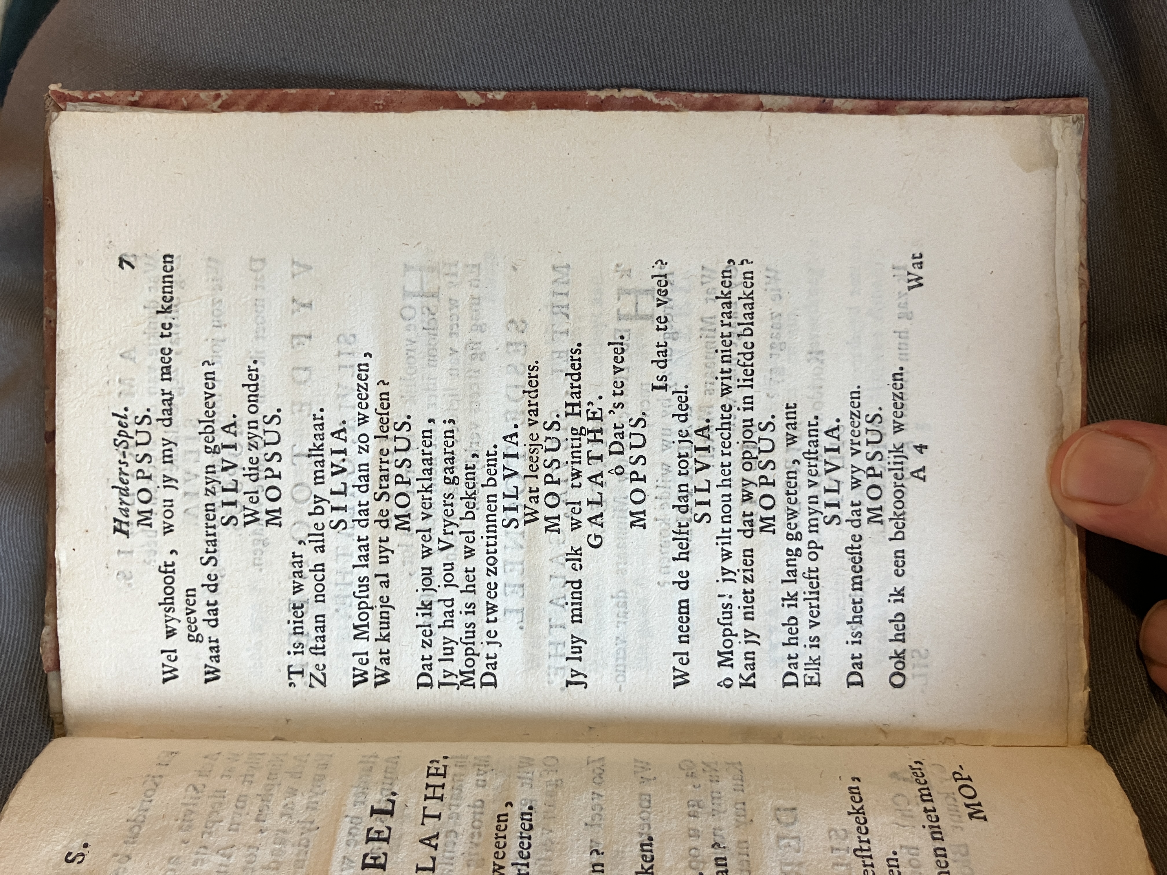 LingelbachAmarillis1713ca07