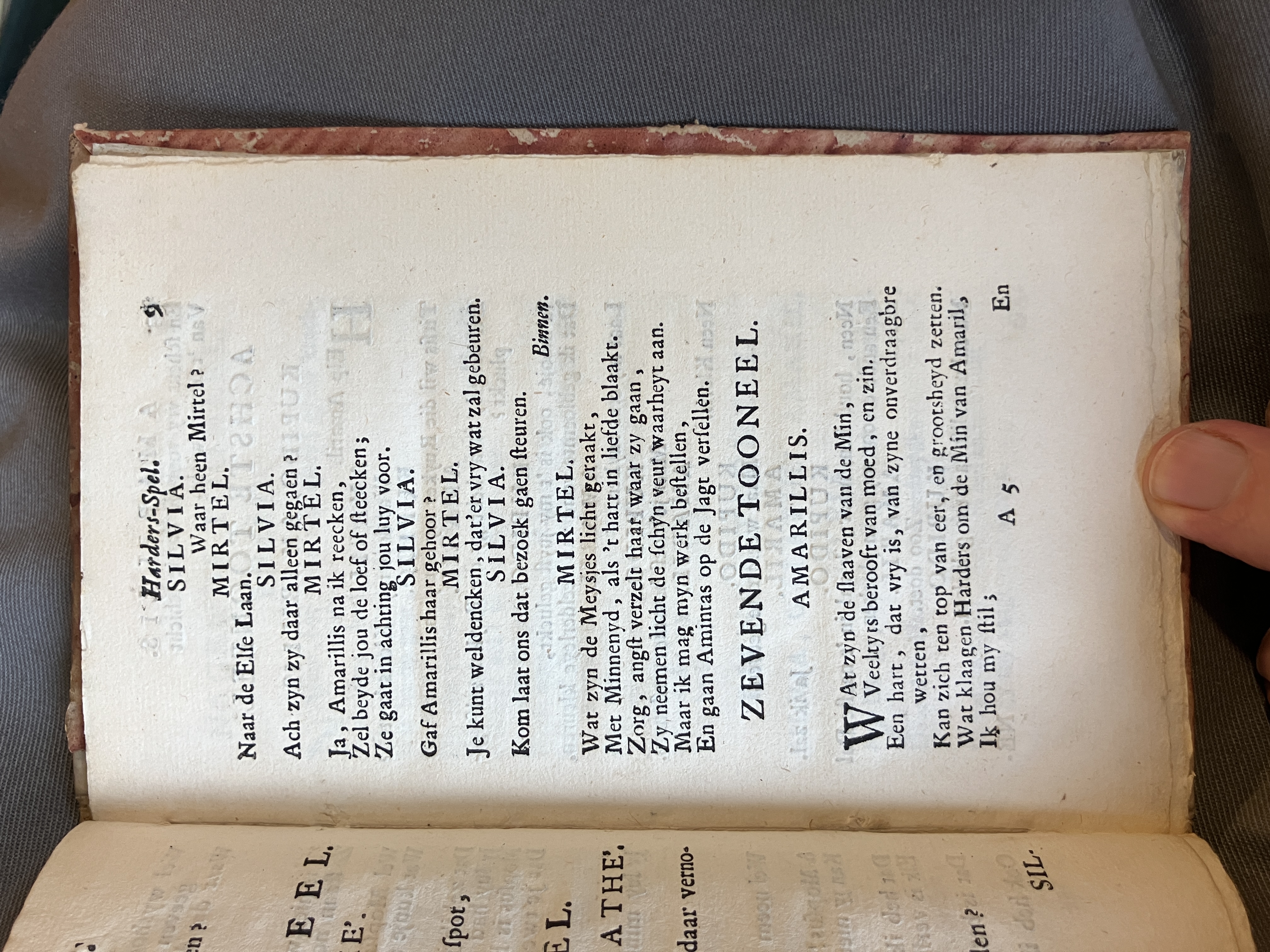 LingelbachAmarillis1713ca09