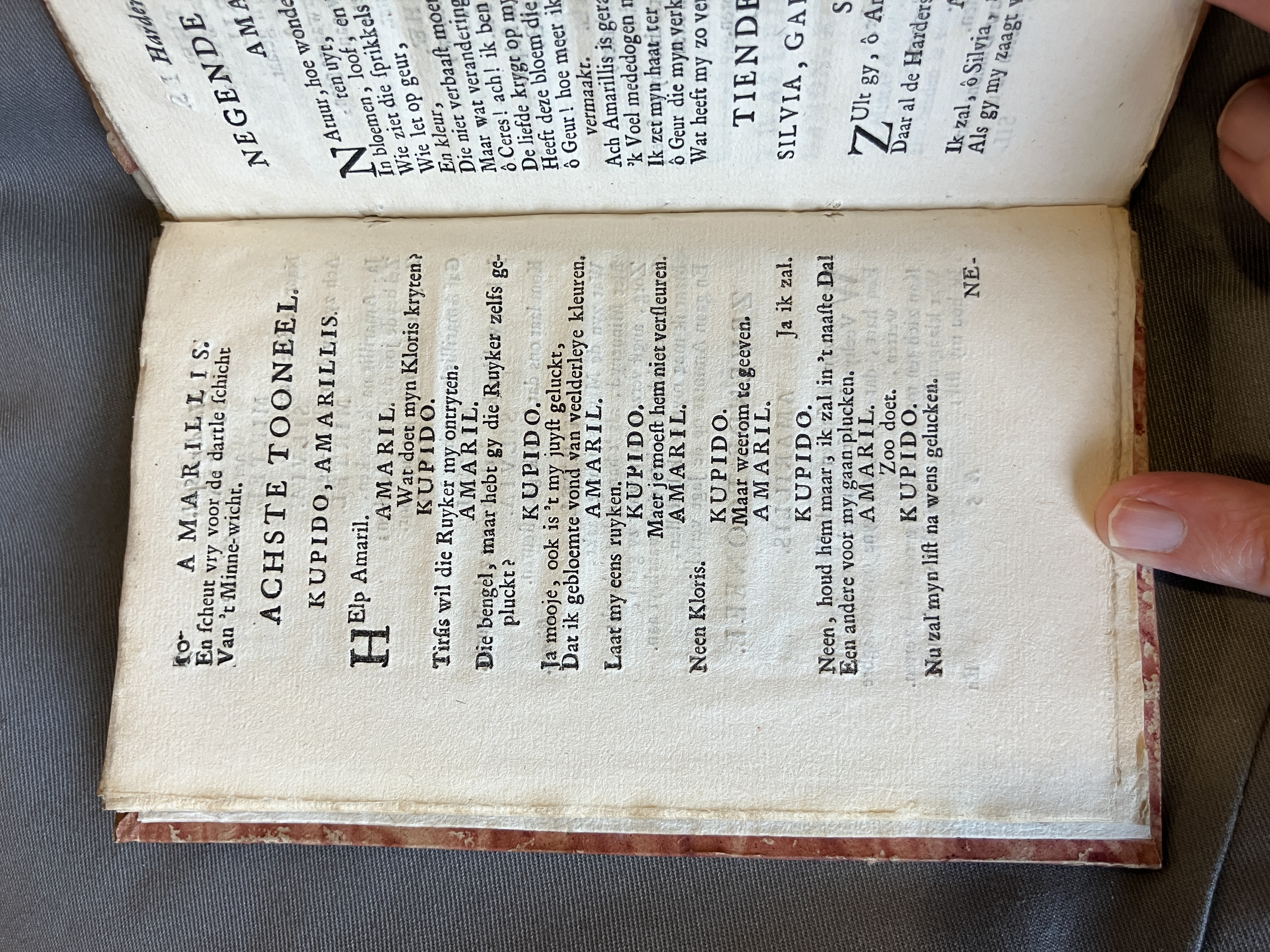 LingelbachAmarillis1713ca10