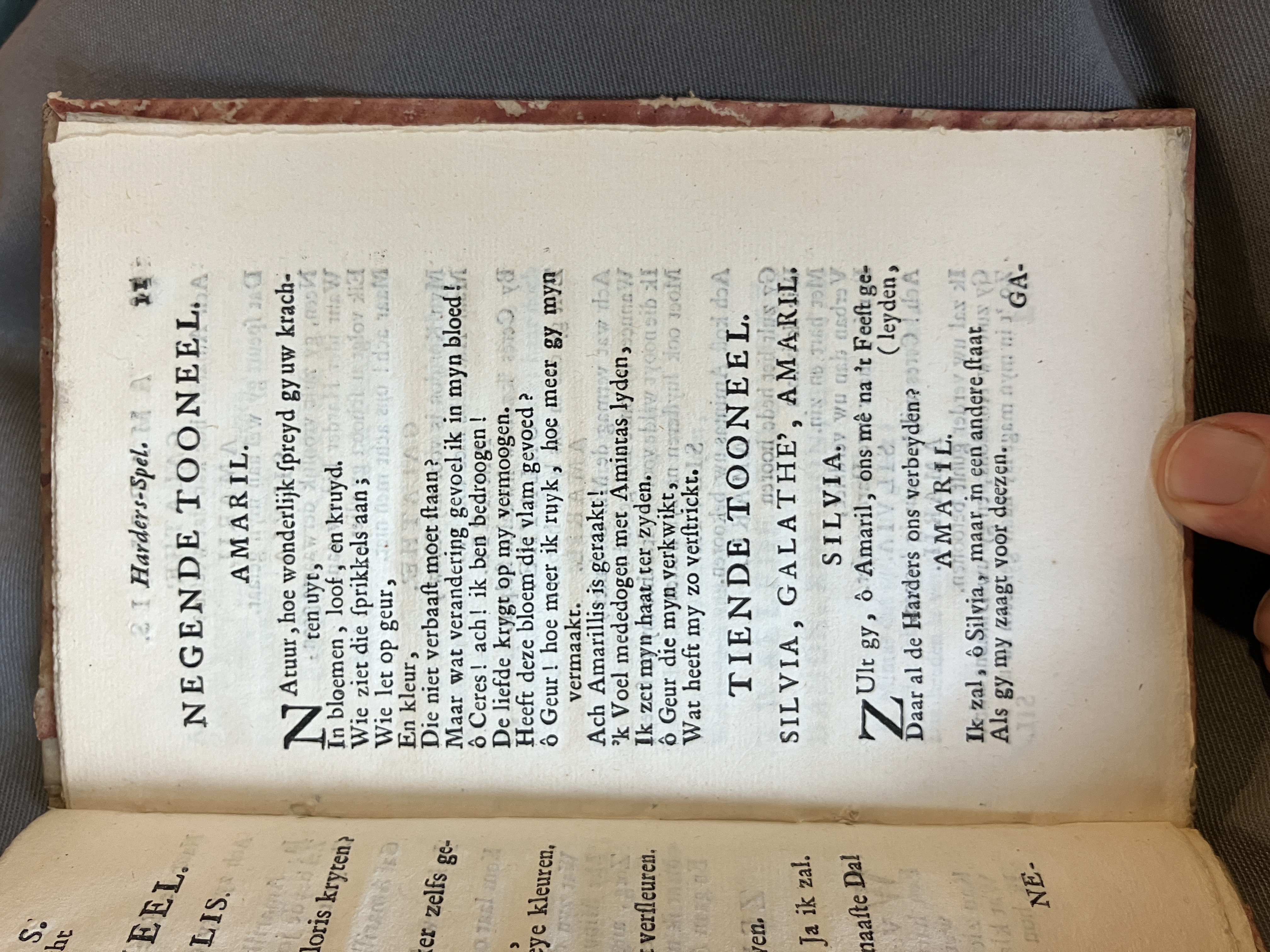LingelbachAmarillis1713ca11