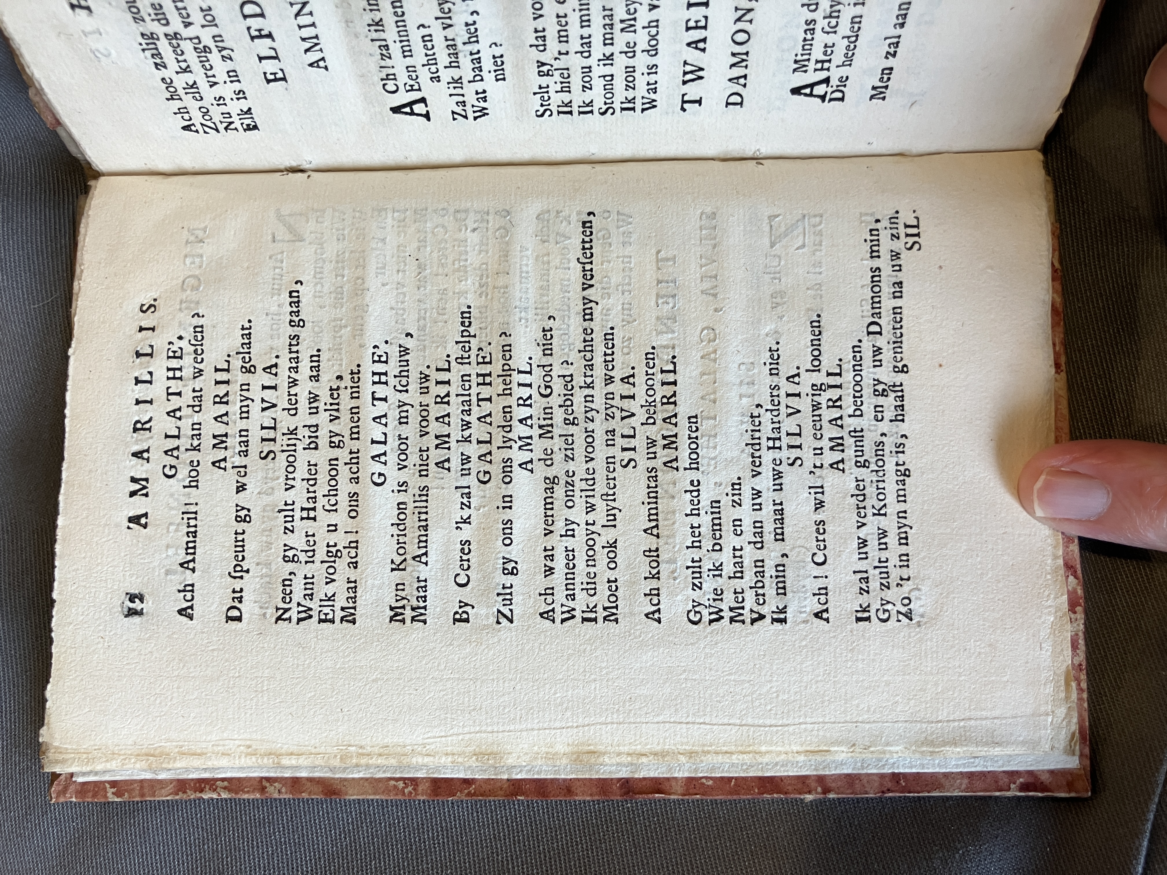 LingelbachAmarillis1713ca12
